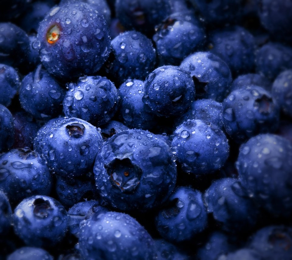 Обои ягоды, черника, bilberries, berries, blueberries разрешение 2560x1600 Загрузить