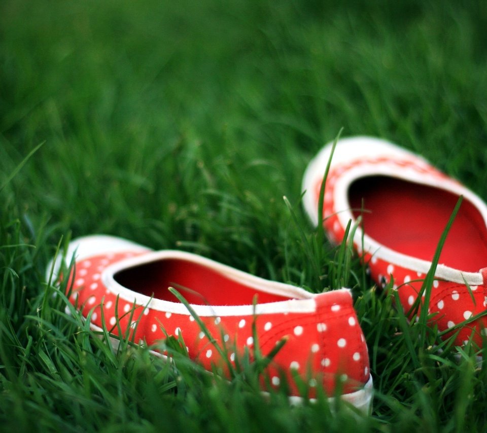 Обои трава, зелёный, обувь, горошек, grass, green, shoes, polka dot разрешение 2560x1600 Загрузить