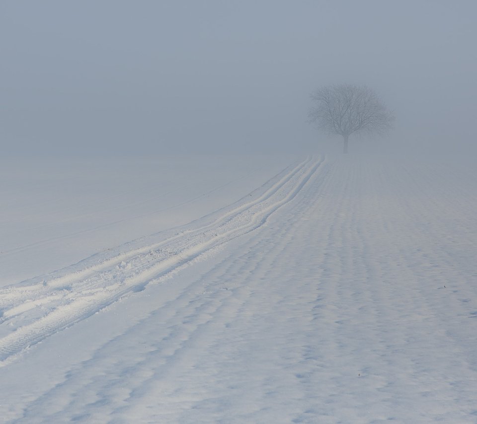 Обои дерево, зима, туман, след, tree, winter, fog, trail разрешение 1920x1252 Загрузить
