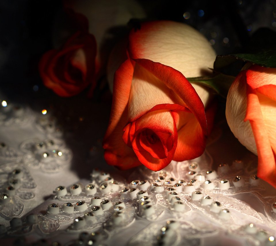 Обои цветы, розы, красивые, стразы, flowers, roses, beautiful, rhinestones разрешение 1920x1200 Загрузить