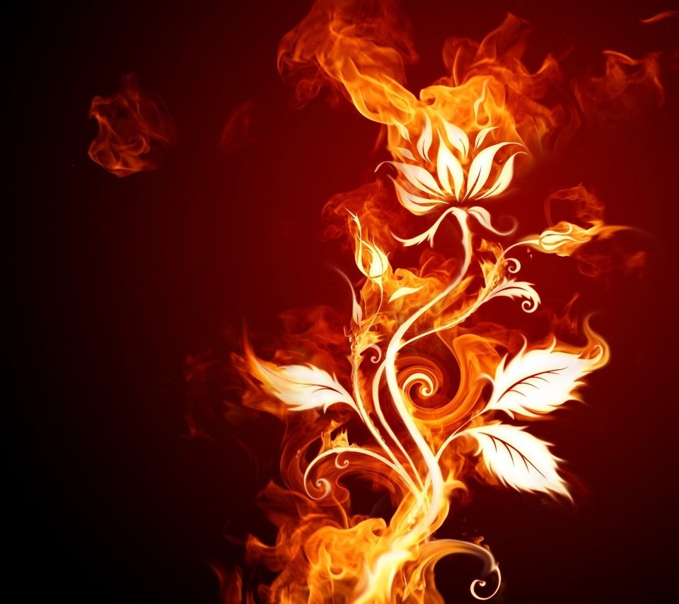 Обои цветок, огонь, flower, fire разрешение 1920x1440 Загрузить
