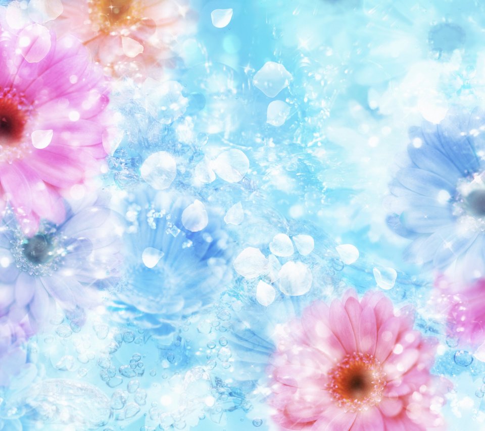 Обои вода, цветок, отблеск, water, flower, the reflection разрешение 2950x2094 Загрузить
