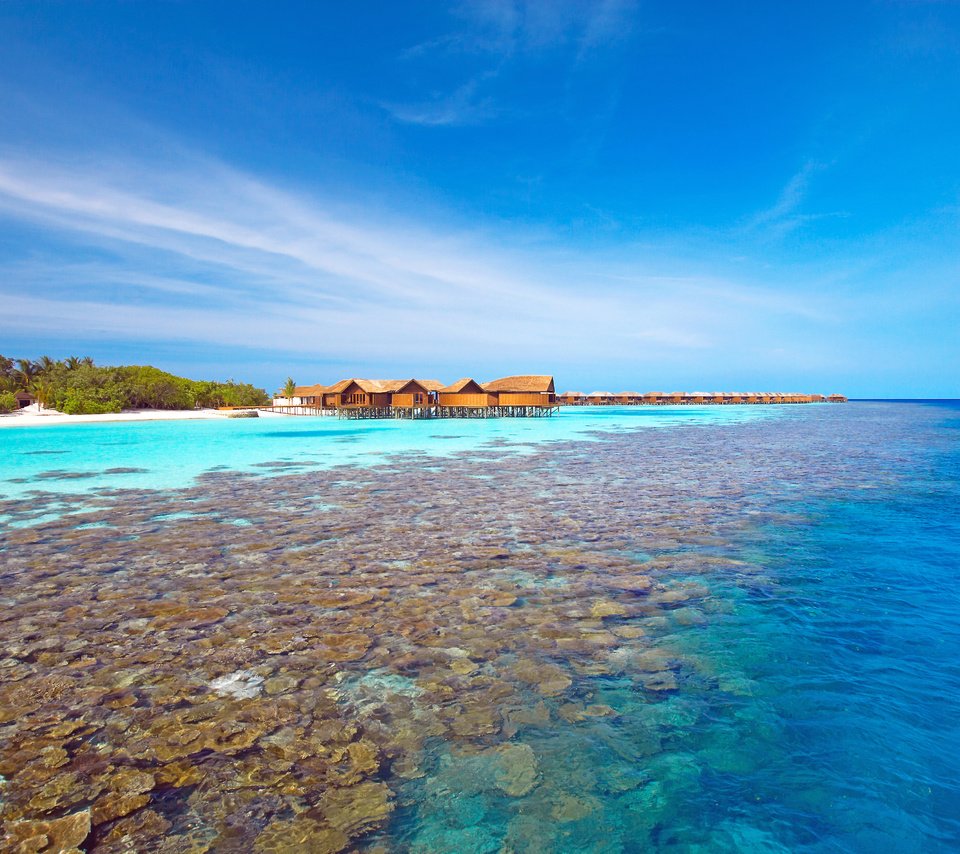 Обои море, пляж, остров, бунгало, тропики, мальдивы, sea, beach, island, bungalow, tropics, the maldives разрешение 4992x3320 Загрузить