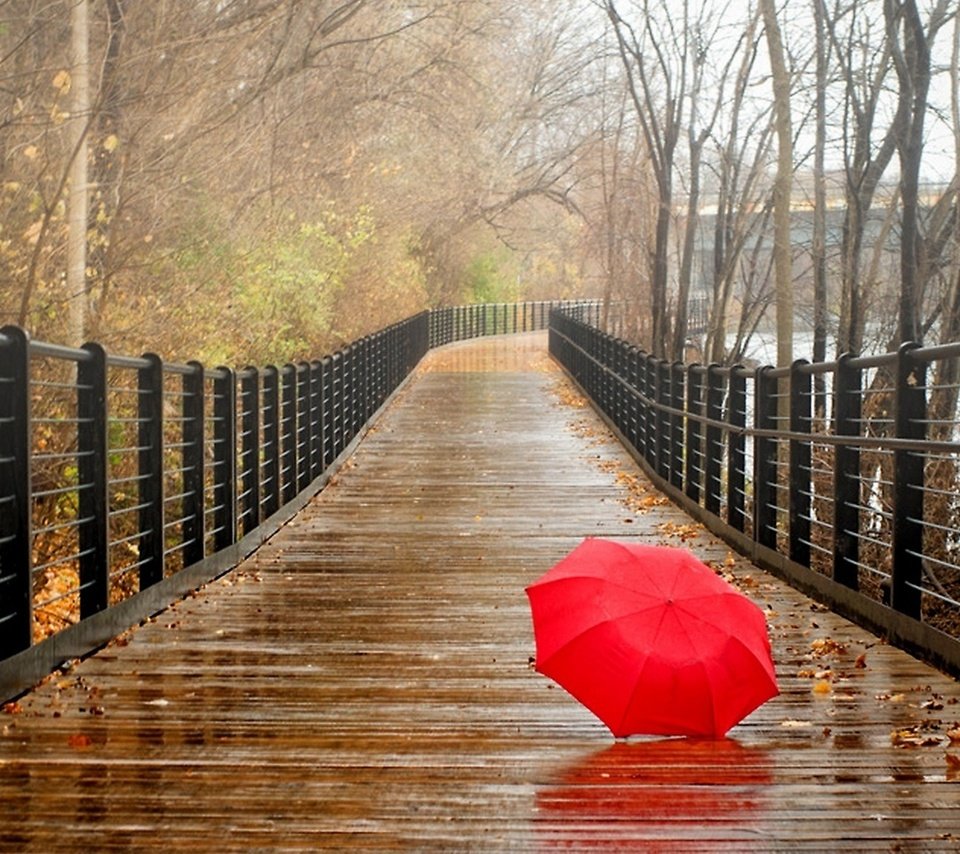 Обои прогулка, деревья, зонтик, река, зонтик на мокром мосту, природа, листья, парк, мост, осень, дождь, walk, trees, umbrella, river, umbrella on a wet bridge, nature, leaves, park, bridge, autumn, rain разрешение 2560x1440 Загрузить
