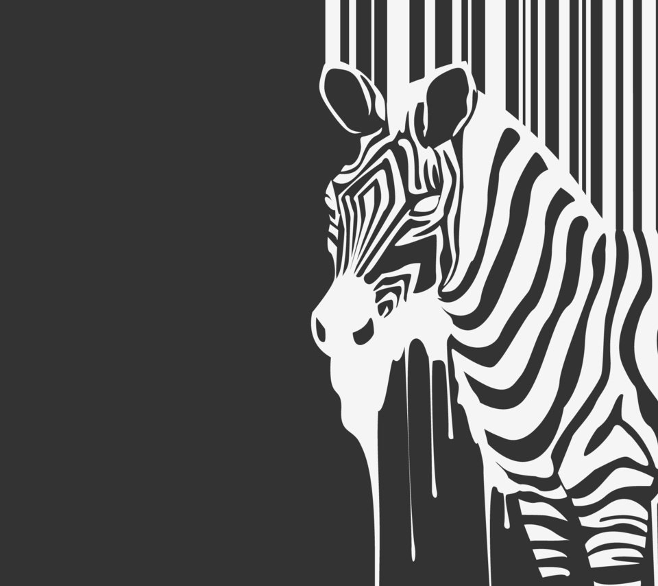 Обои зебра, животное, ч.б., zebra, animal, h. b. разрешение 2560x1600 Загрузить