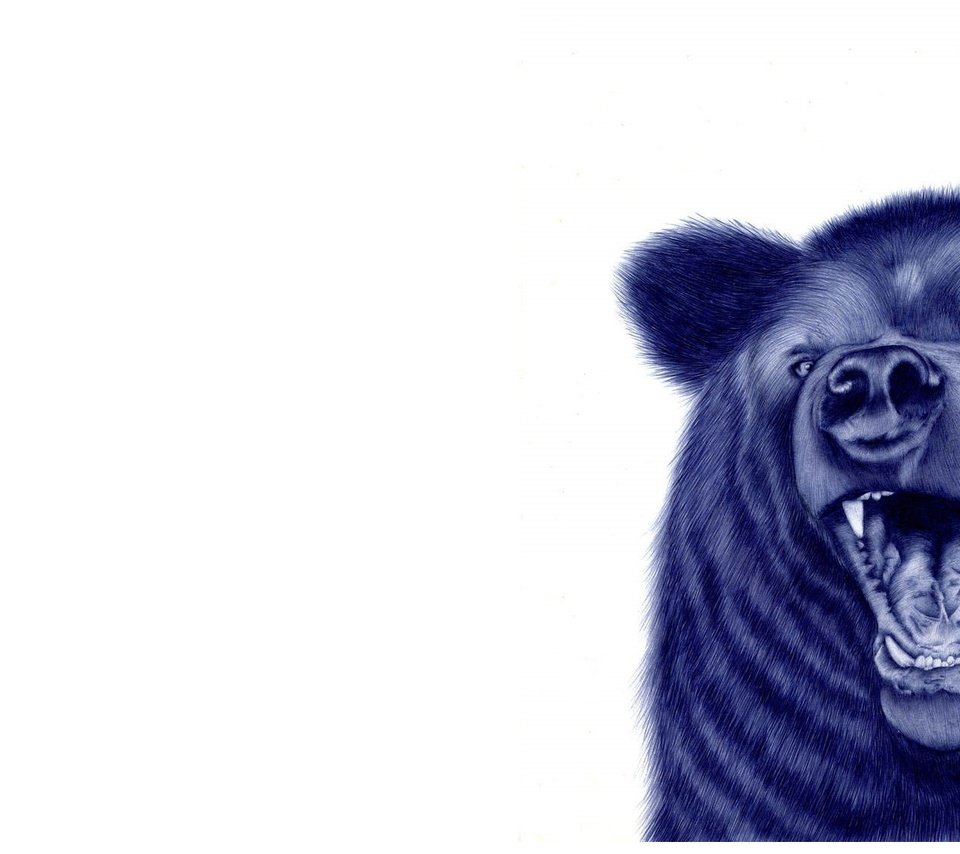 Обои морда, рисунок, фон, медведь, пасть, face, figure, background, bear, mouth разрешение 1920x1134 Загрузить