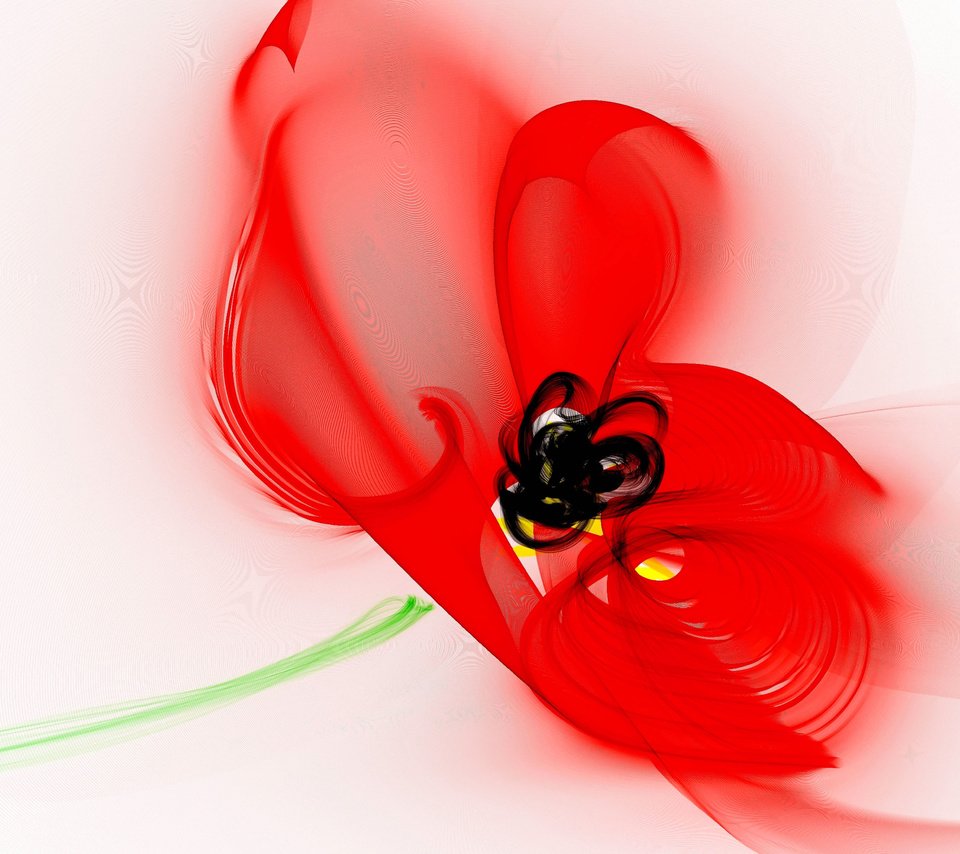 Обои цветок, красный, графика, мак, белый фон, flower, red, graphics, mac, white background разрешение 5905x4337 Загрузить