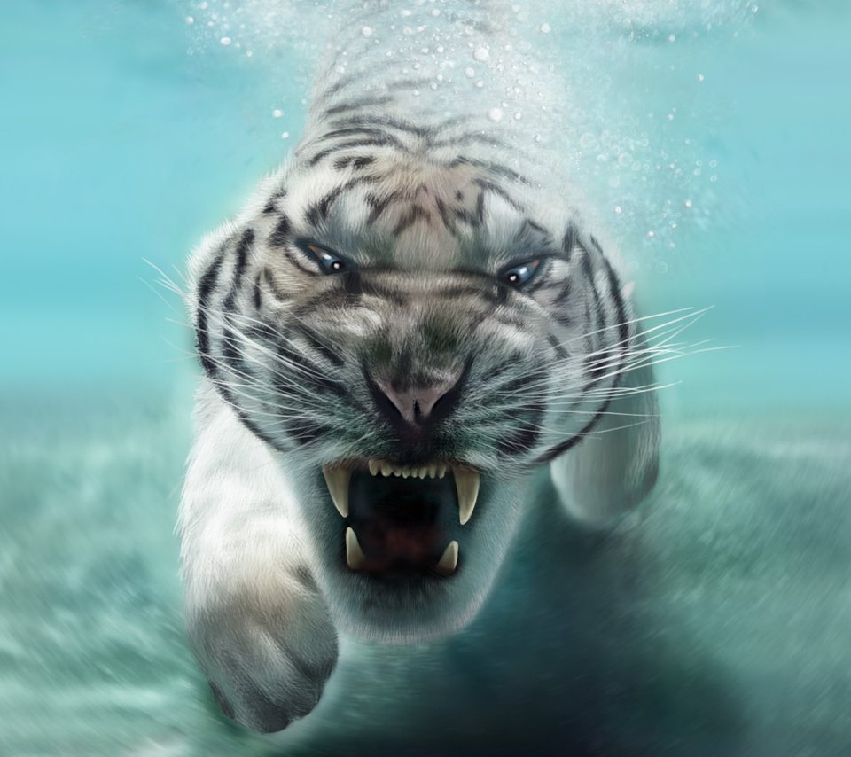 Обои морда, клыки, хищник, животное, пасть, белый тигр, в воде, face, fangs, predator, animal, mouth, white tiger, in the water разрешение 1920x1080 Загрузить