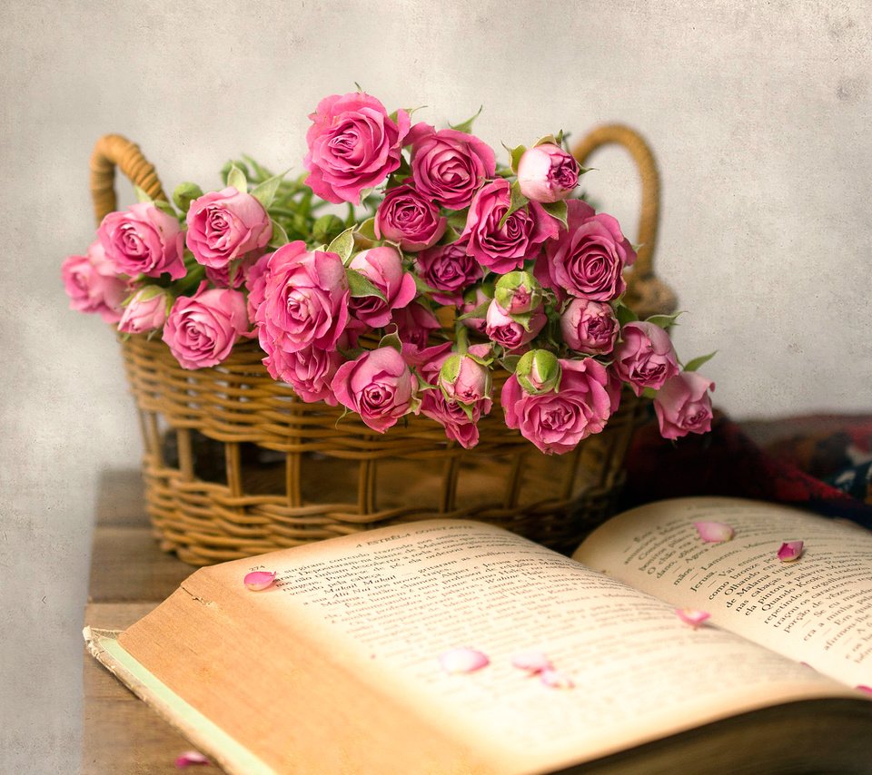 Обои розы, лепестки, корзина, книга, roses, petals, basket, book разрешение 2000x1384 Загрузить