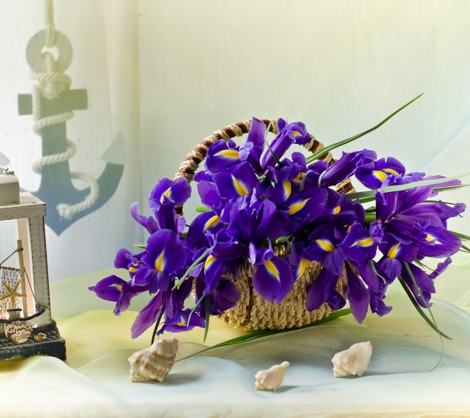 Обои ракушки, корзинка, ирисы, якорь, shell, basket, irises, anchor разрешение 1920x1263 Загрузить