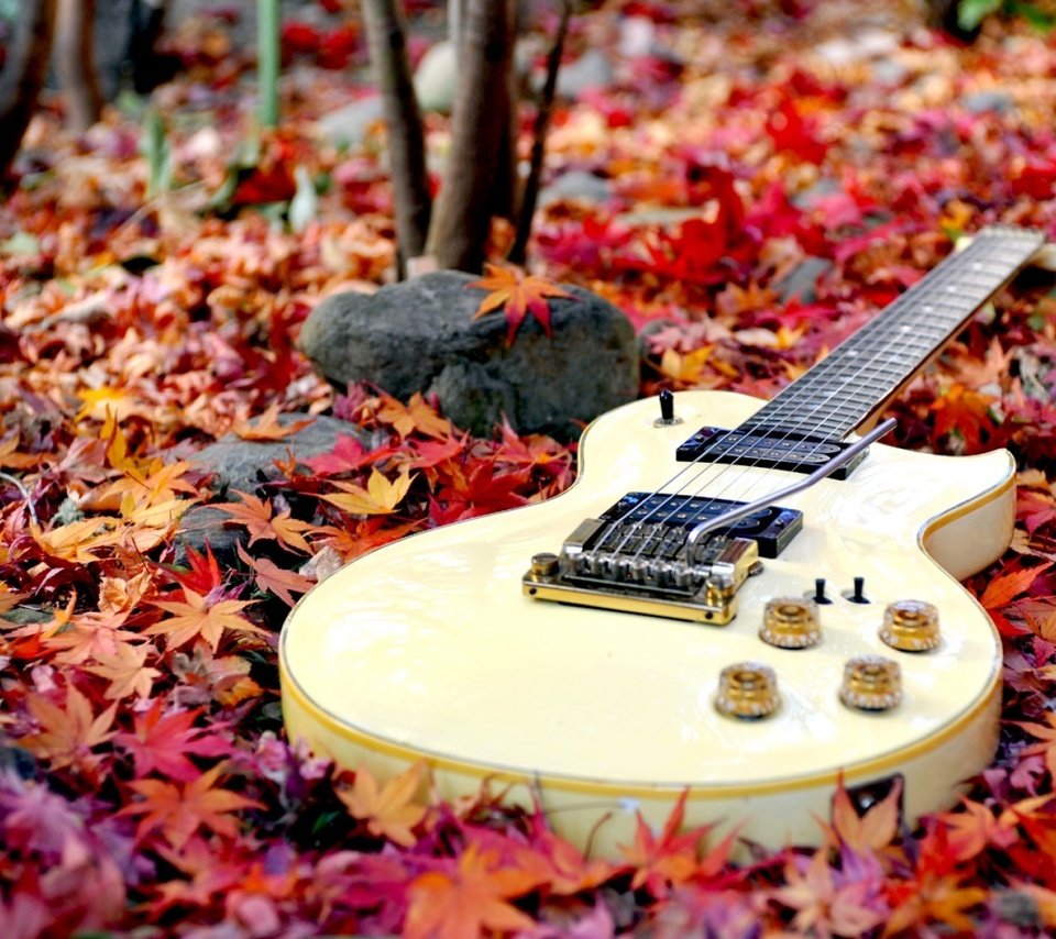 Обои лес, листья, гитара, осень, осен,  листья, forest, leaves, guitar, autumn разрешение 1920x1200 Загрузить