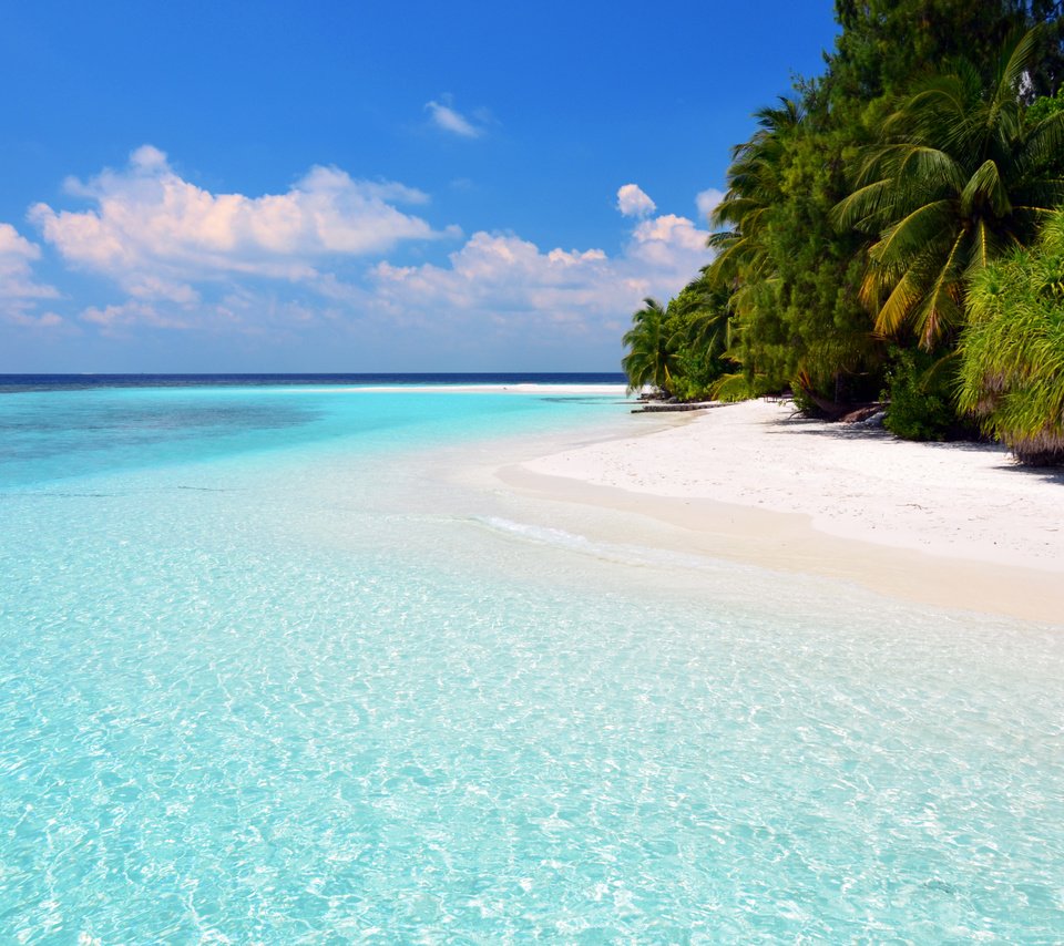 Обои море, пляж, отдых, остров, тропики, мальдивы, sea, beach, stay, island, tropics, the maldives разрешение 4714x2974 Загрузить