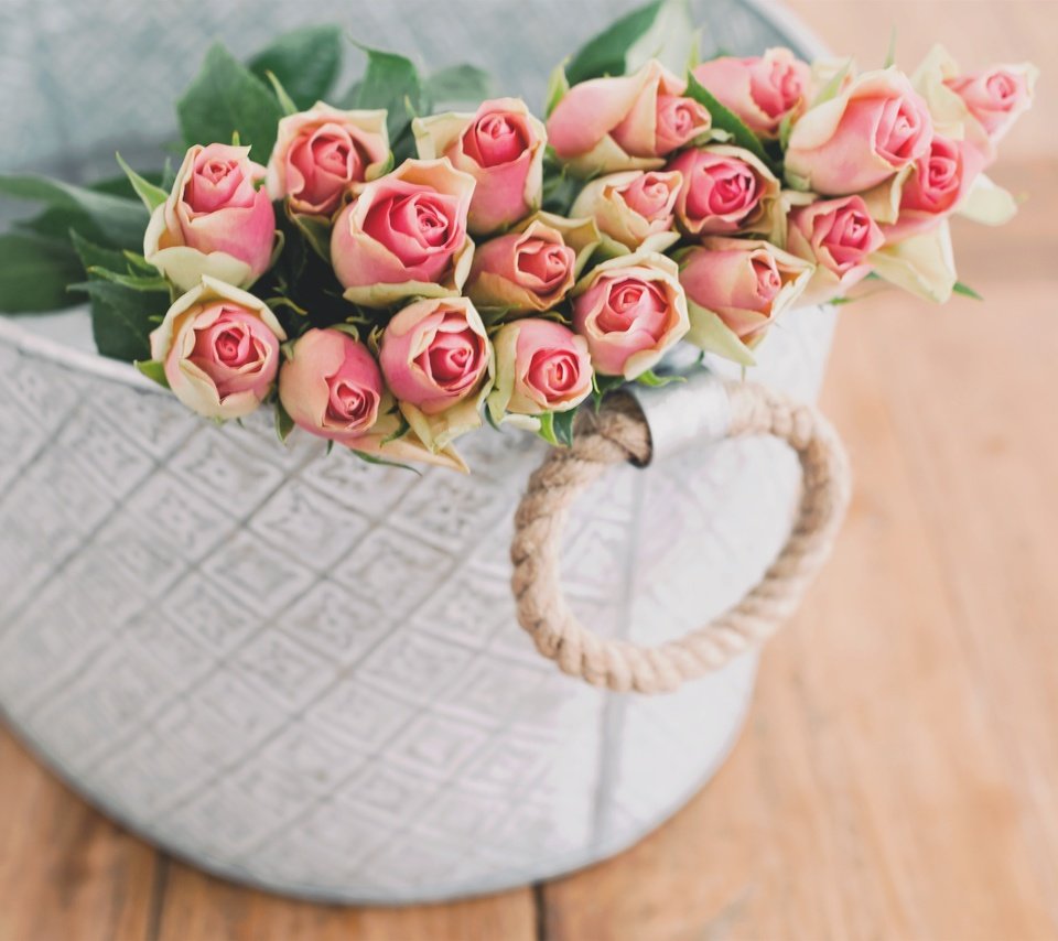 Обои цветы, бутоны, розы, доски, коробка, flowers, buds, roses, board, box разрешение 5335x3561 Загрузить