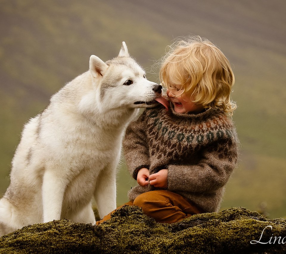 Обои собака, мальчик, хаски, исландия, дружба, друзья, dog, boy, husky, iceland, friendship, friends разрешение 1920x1200 Загрузить