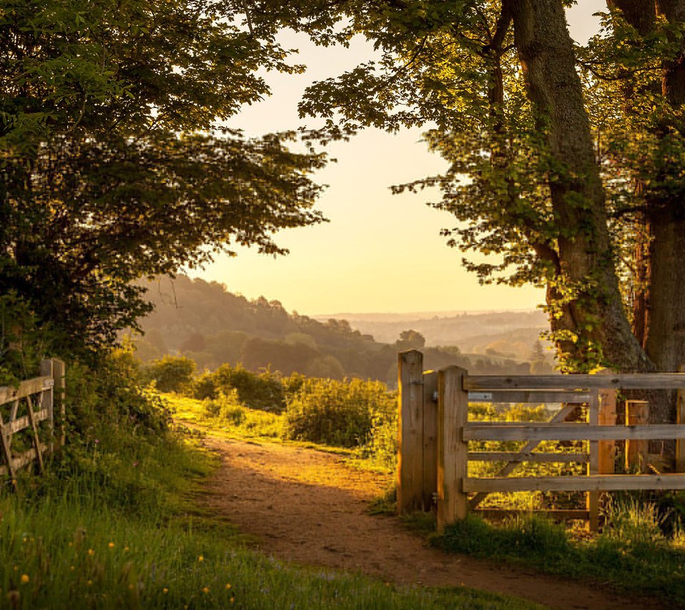 Обои дорога, ворота, деревья, англия, природа, the british countryside, растения, пейзаж, парк, лето, забор, road, gate, trees, england, nature, plants, landscape, park, summer, the fence разрешение 1920x1200 Загрузить