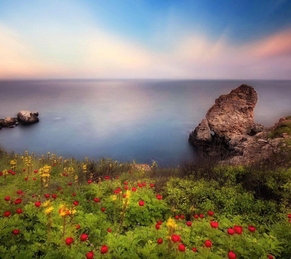 Обои небо, цветы, скалы, берег, пейзаж, море, the sky, flowers, rocks, shore, landscape, sea разрешение 1920x1080 Загрузить