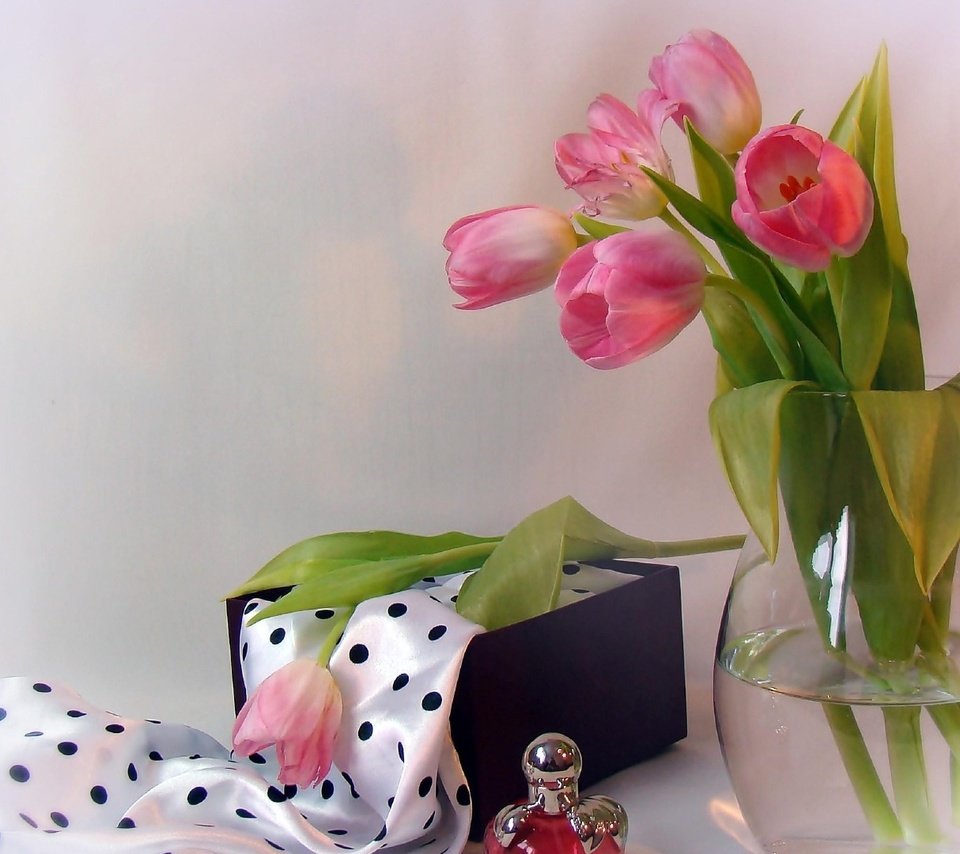 Обои цветы, тюльпаны, кувшин, духи, шарф, коробочка, flowers, tulips, pitcher, perfume, scarf, box разрешение 1920x1080 Загрузить