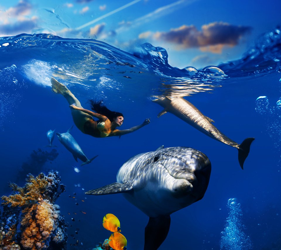 Обои дельфины, небо, подводный мир, облака, русалка, волны, море, плавает, рыбы, под водой, кораллы, пузырьки, dolphins, the sky, underwater world, clouds, mermaid, wave, sea, floats, fish, under water, corals, bubbles разрешение 3000x3000 Загрузить