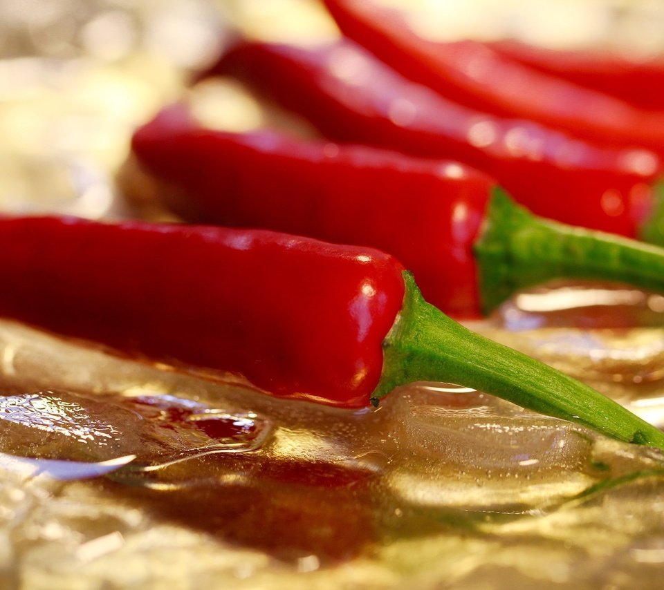Обои красный, овощи, чили, перец, жгучий перец, red, vegetables, chile, pepper, hot pepper разрешение 2560x1600 Загрузить