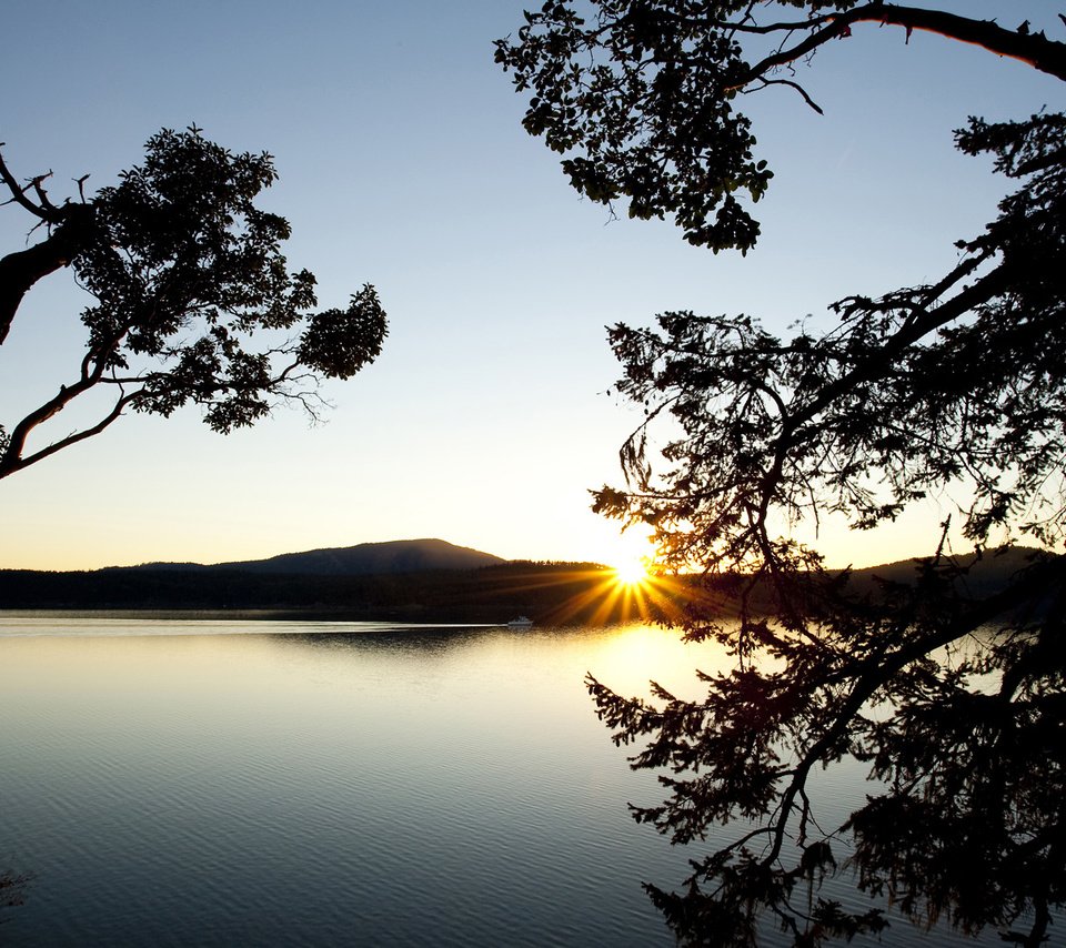 Обои деревья, озеро, горы, закат, ветки, водоем, даль, силуэты, trees, lake, mountains, sunset, branches, pond, dal, silhouettes разрешение 1920x1080 Загрузить