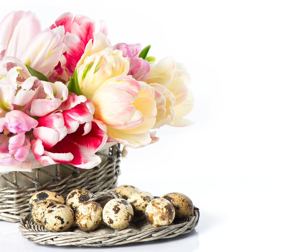 Обои цветы, тюльпаны, белый фон, пасха, яйца, корзинка, flowers, tulips, white background, easter, eggs, basket разрешение 7002x5664 Загрузить