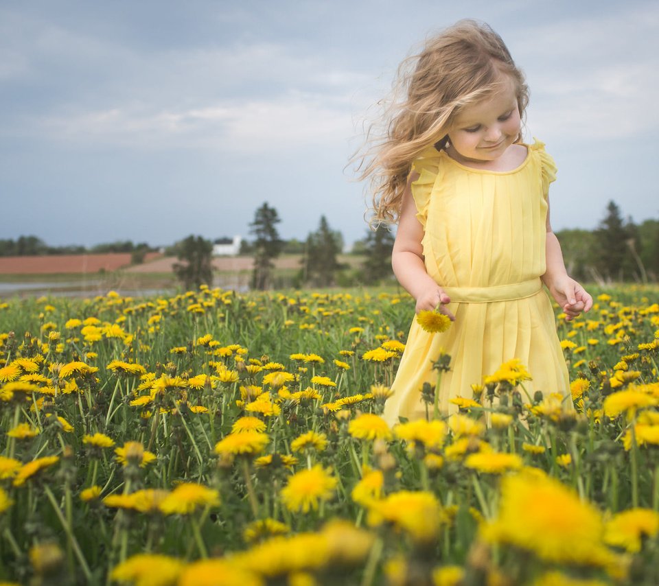 Обои цветы, природа, настроение, девочка, луг, одуванчики, flowers, nature, mood, girl, meadow, dandelions разрешение 2048x1288 Загрузить