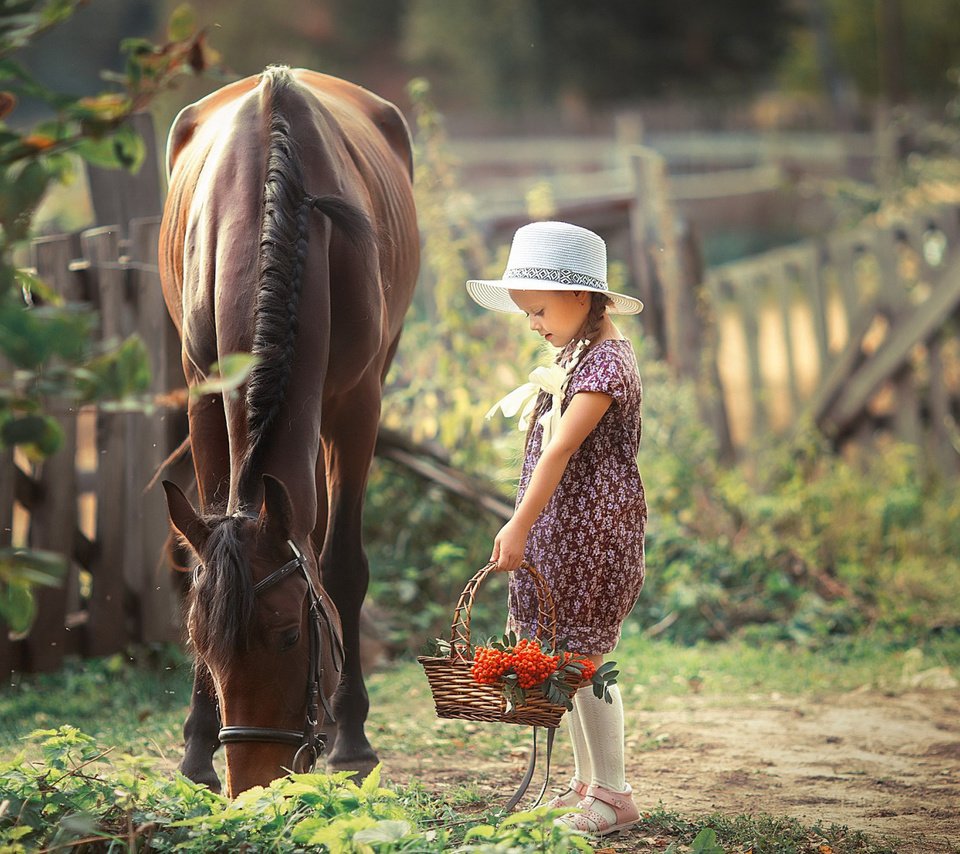 Обои лошадь, девочка, корзина, рябина, horse, girl, basket, rowan разрешение 2112x1188 Загрузить
