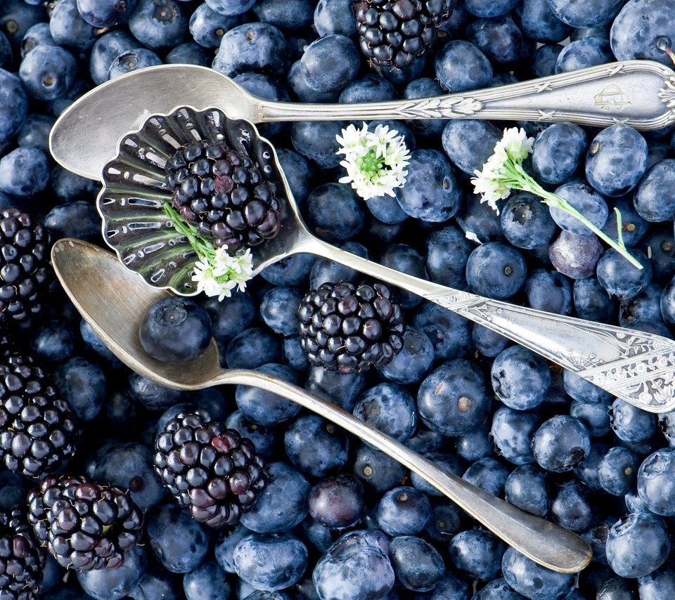 Обои черника, ежевика, blueberries, blackberry разрешение 2000x1329 Загрузить