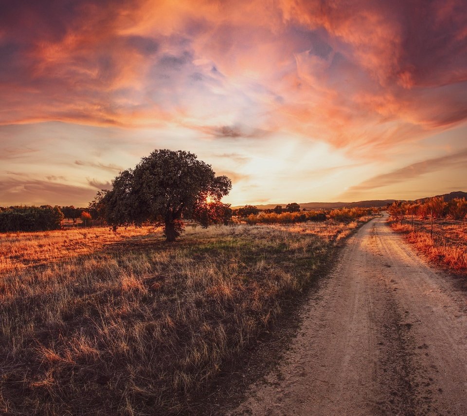 Обои дорога, дерево, закат, road, tree, sunset разрешение 2048x1365 Загрузить