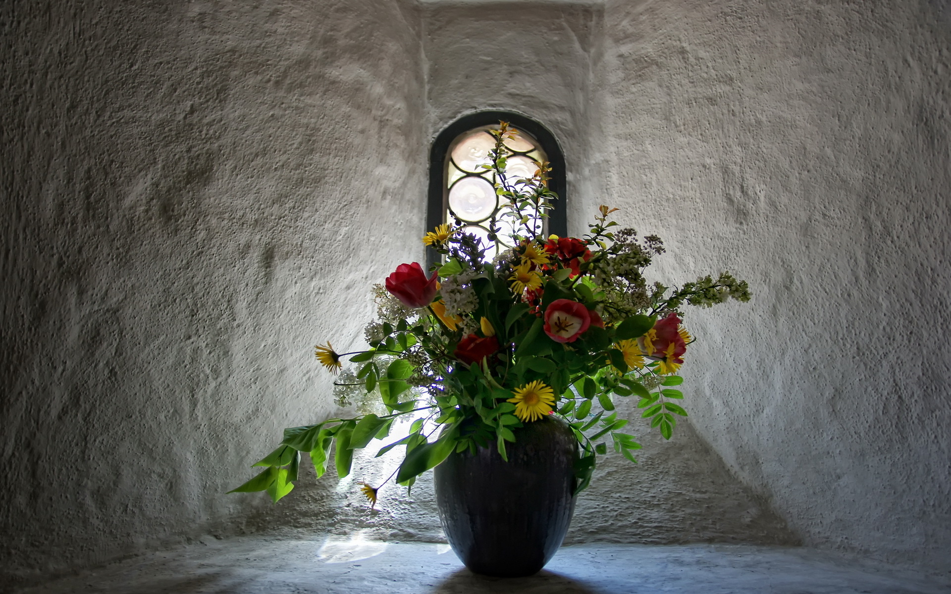 Обои цветы, okno, стена, букет, тюльпаны, окно, ваза, маргаритки, cvety, buket, flowers, wall, bouquet, tulips, window, vase, daisy разрешение 1920x1200 Загрузить
