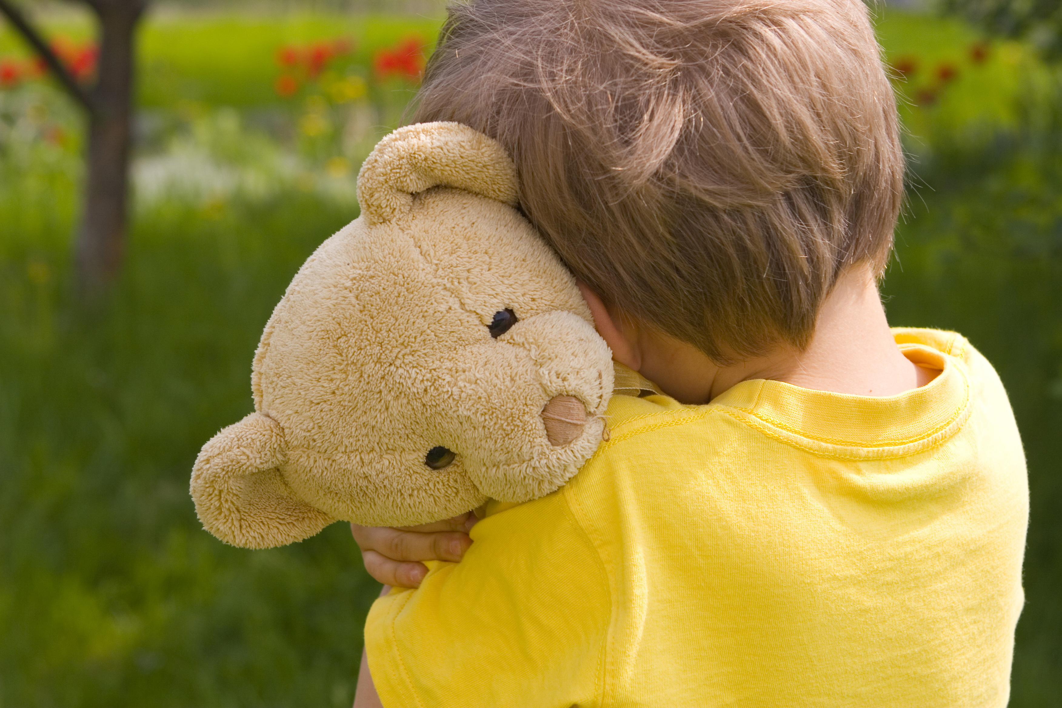 Обои настроение, игрушка, ребенок, malenkij, плюшевый медведь, mood, toy, child, teddy bear разрешение 3504x2336 Загрузить