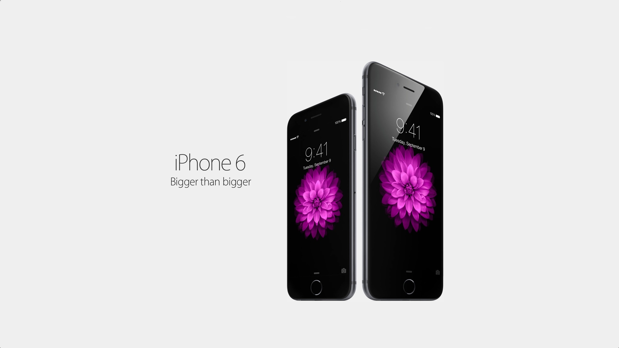 Обои bigger, its better, iphone6, iphone 6 plus, isnt simply, эппл, apple разрешение 2560x1440 Загрузить