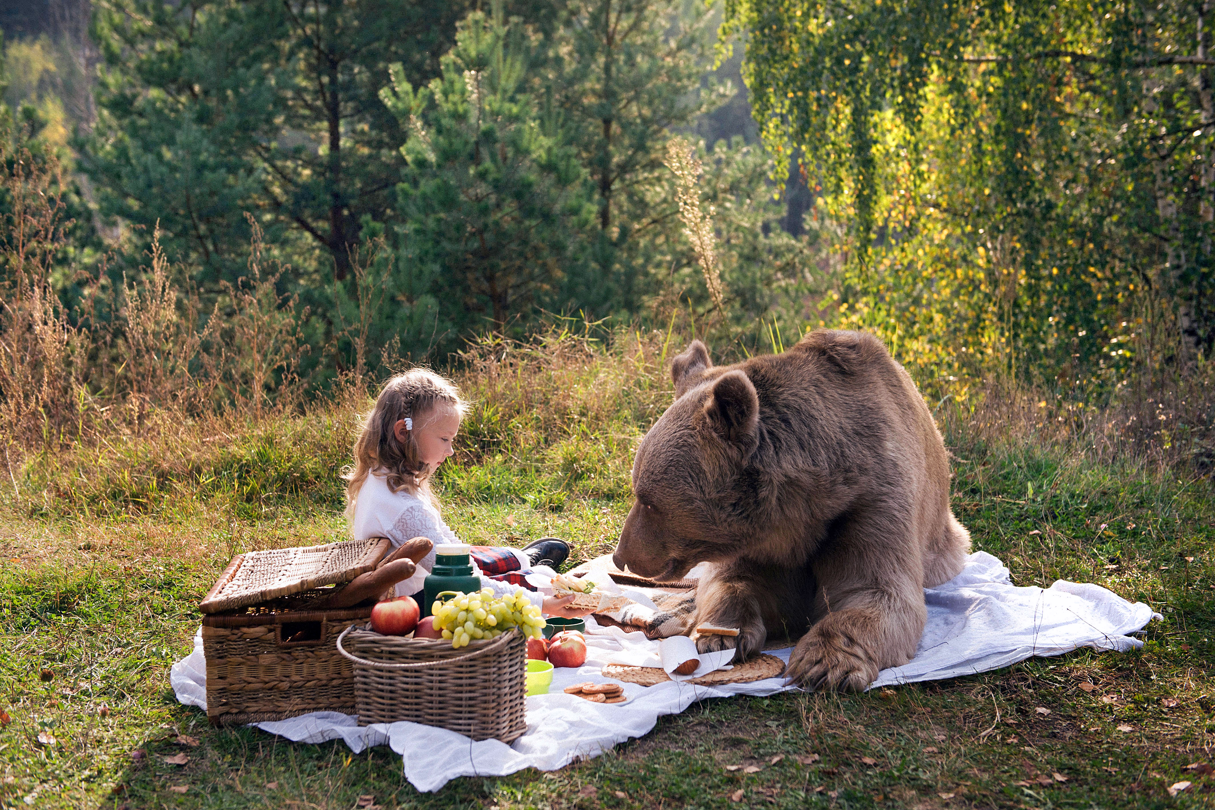 Обои природа, медведь, девочка, пикник, маша и медведь, nature, bear, girl, picnic, masha and the bear разрешение 4252x2835 Загрузить