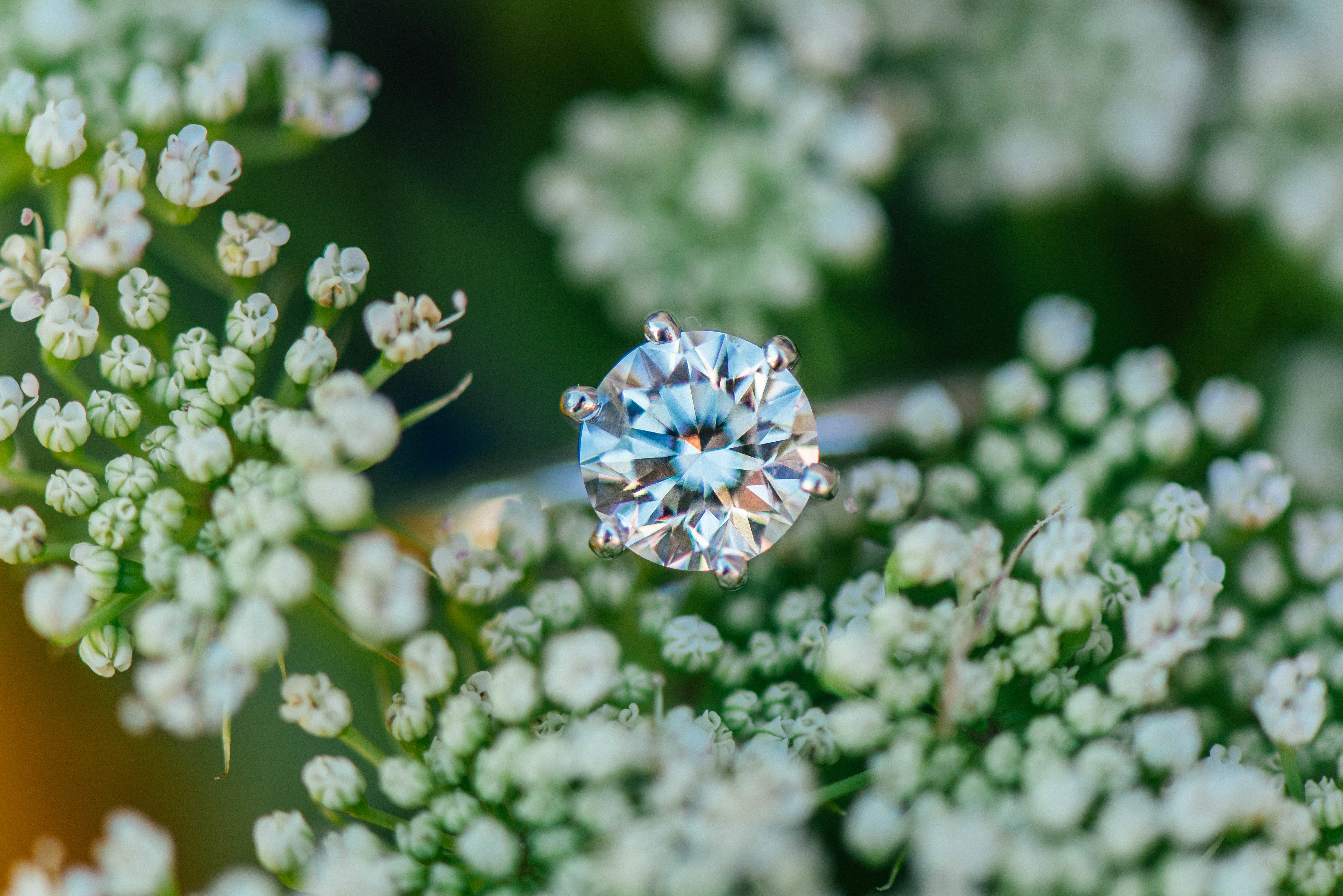 Обои цветы, камень, кольцо, обручальное, flowers, stone, ring, wedding разрешение 6016x4016 Загрузить