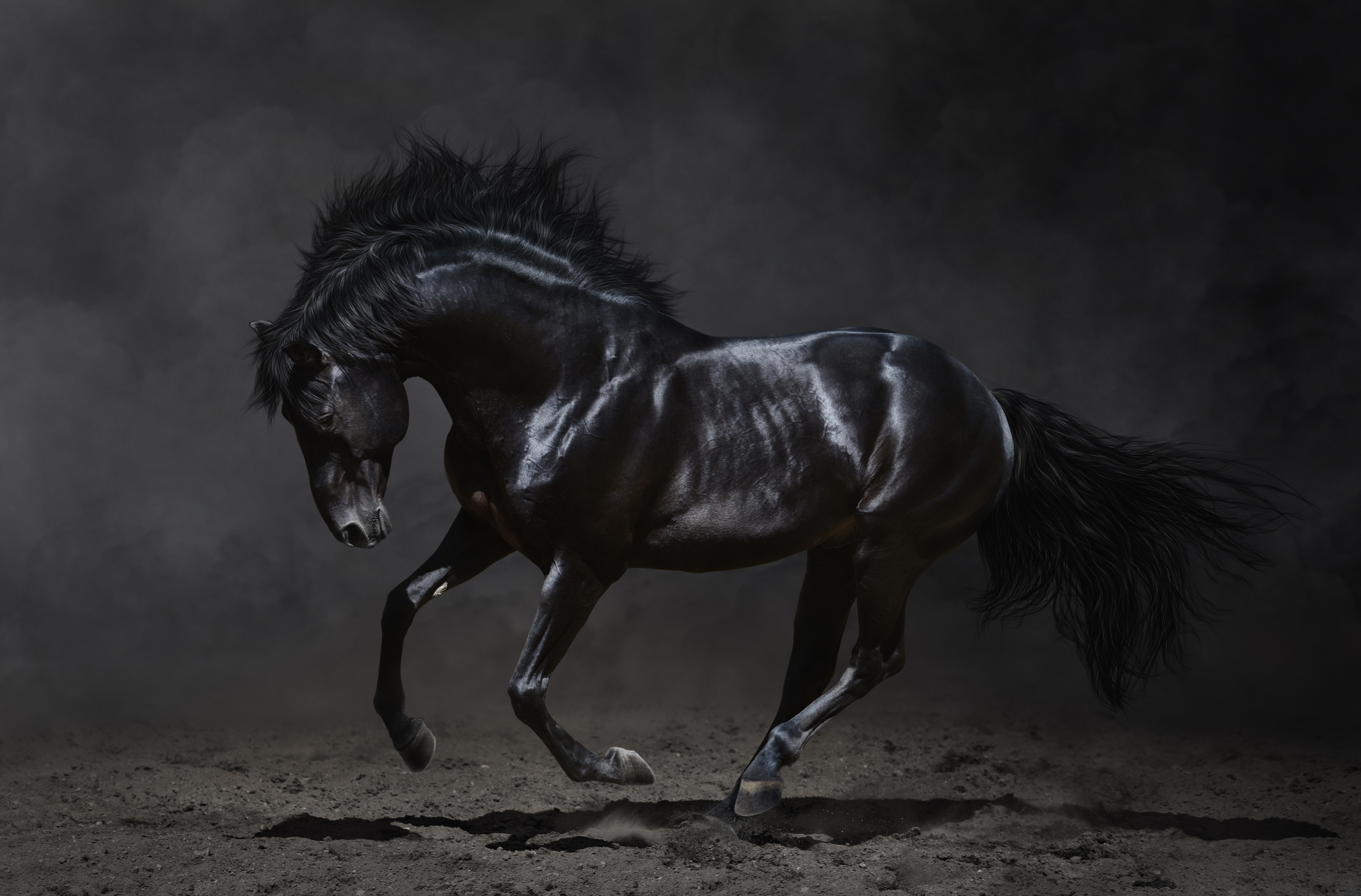 Обои лошадь, темный фон, конь, грива, бег, копыта, жеребец, мустанг, вороной, crow, horse, the dark background, mane, running, hooves, stallion, mustang разрешение 5944x3914 Загрузить