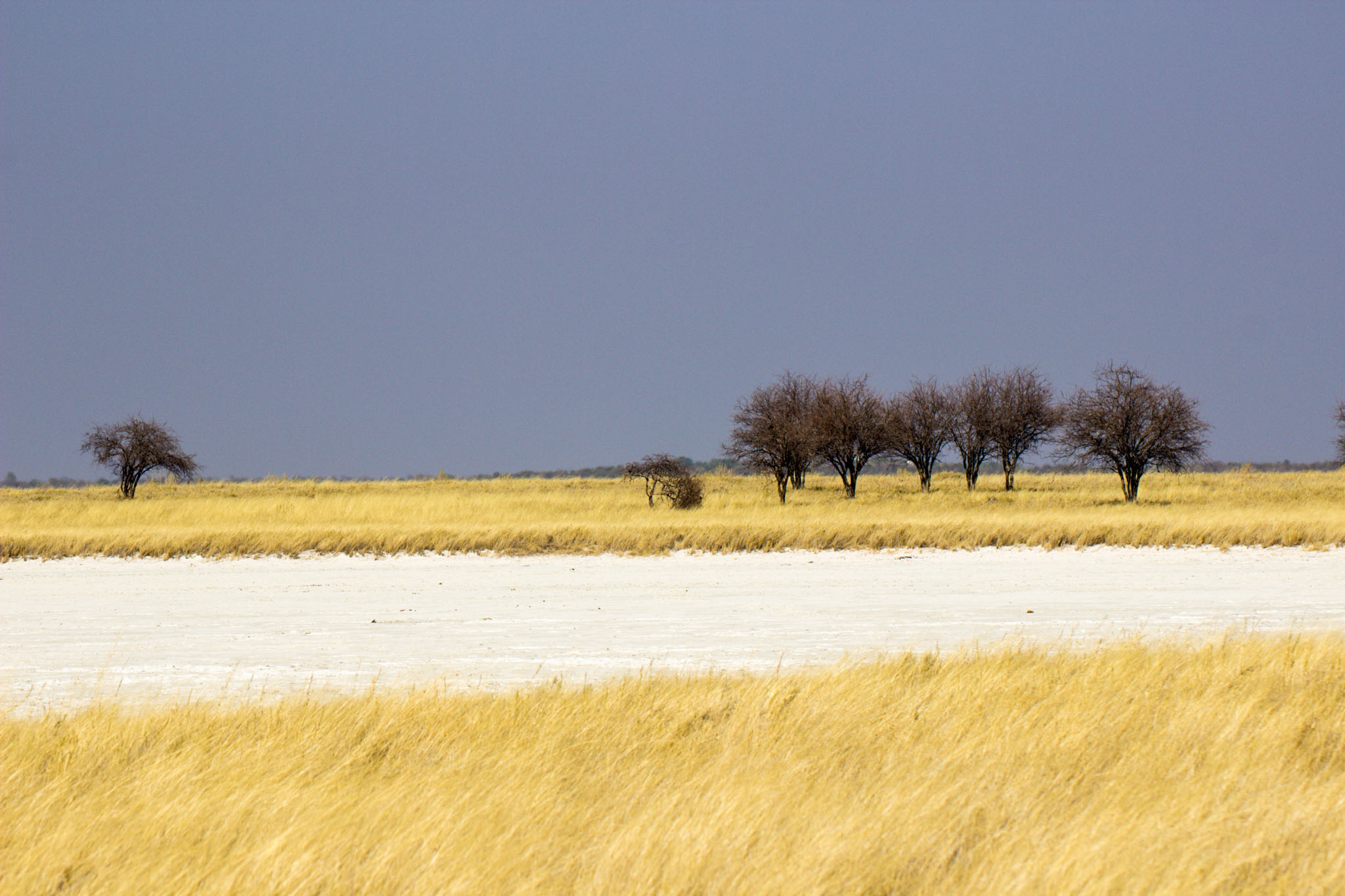 Обои небо, дорога, африка, саванна, намибия, сафанна, облачно, the sky, road, africa, savannah, namibia, savanna, cloudy разрешение 2048x1365 Загрузить