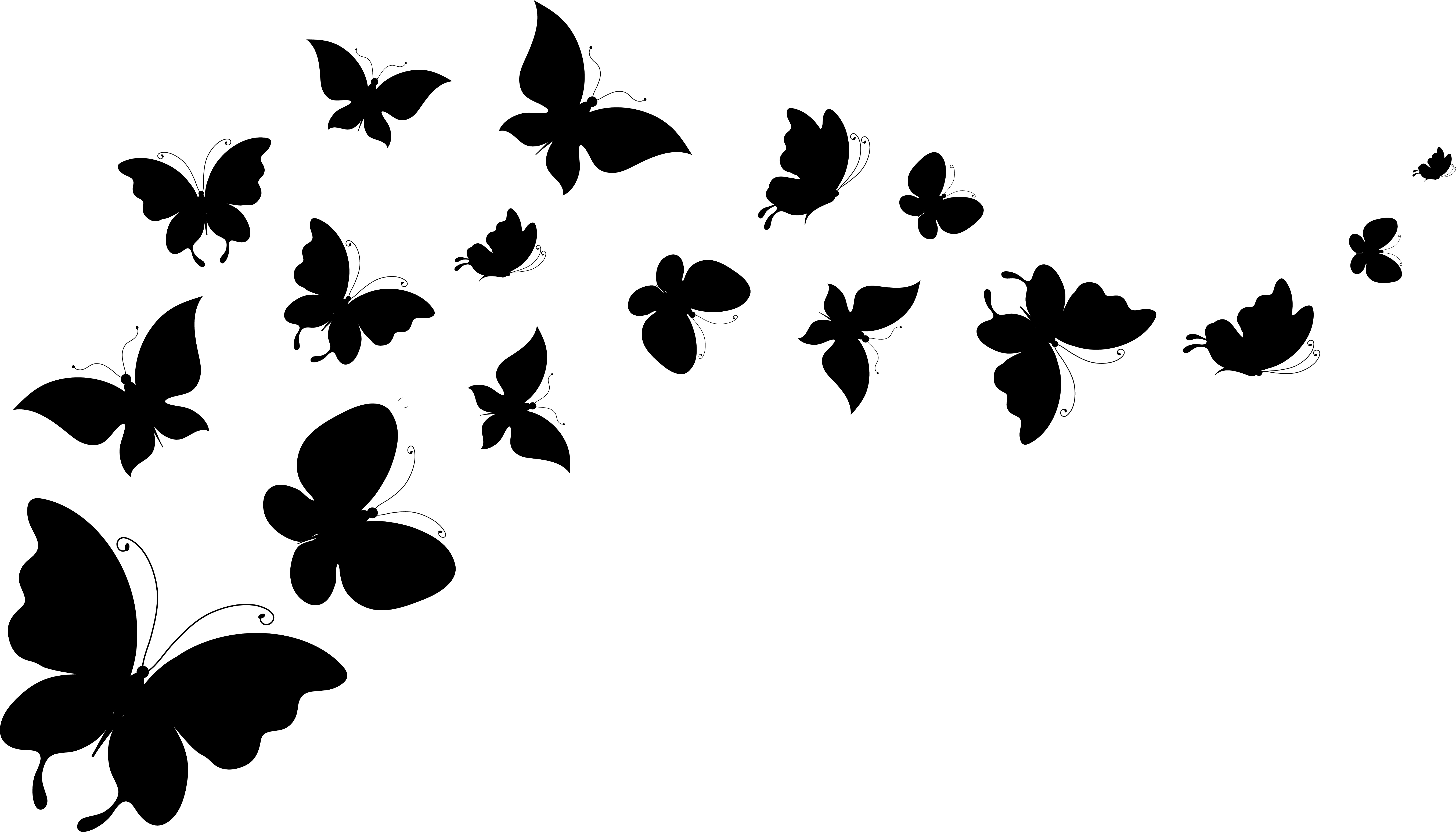 Обои фон, крылья, белый, силуэты, бабочки, background, wings, white, silhouettes, butterfly разрешение 5420x3097 Загрузить