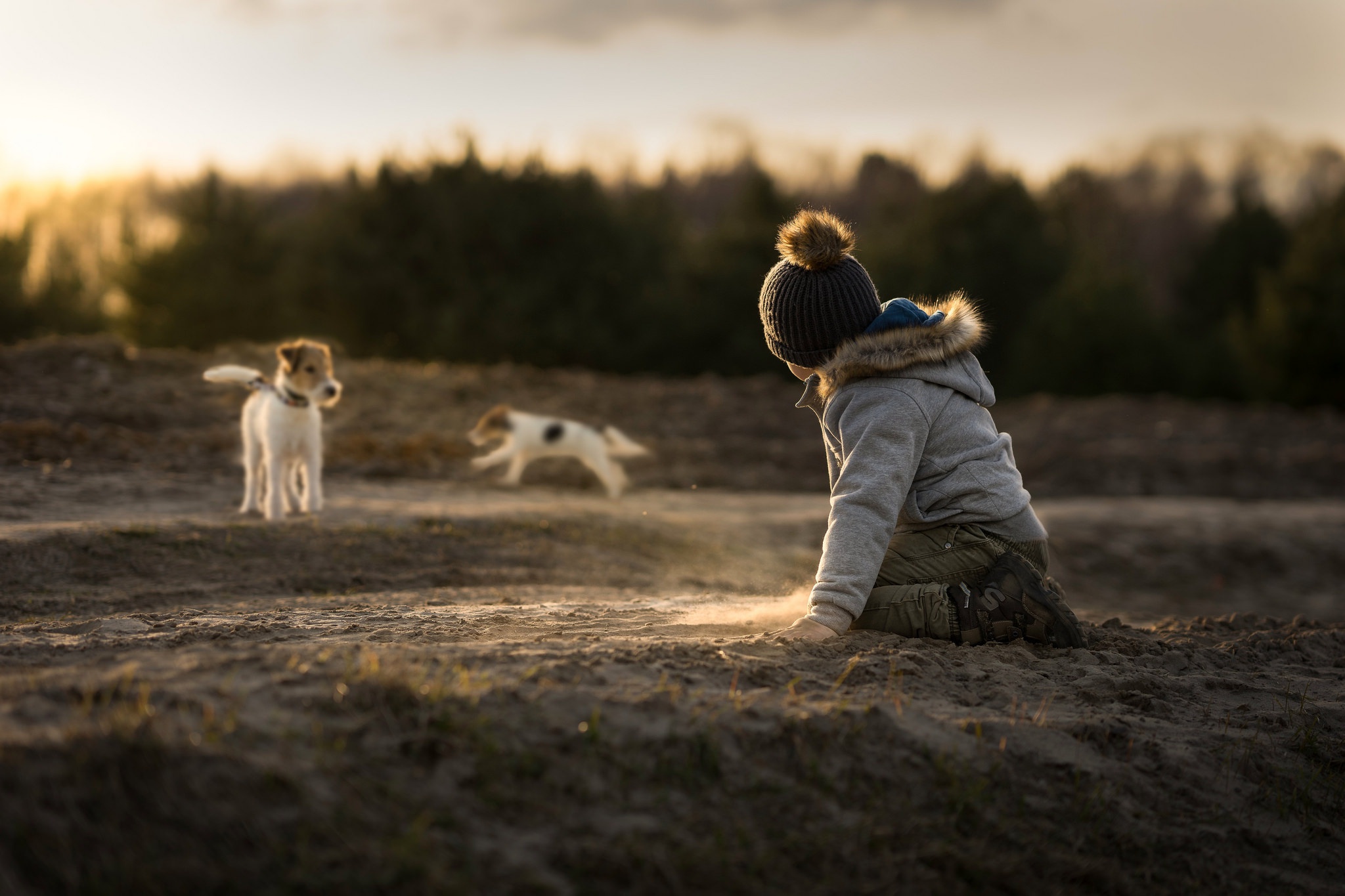 Обои песок, дети, ребенок, мальчик, собаки, джек-рассел-терьер, sand, children, child, boy, dogs, jack russell terrier разрешение 2048x1365 Загрузить