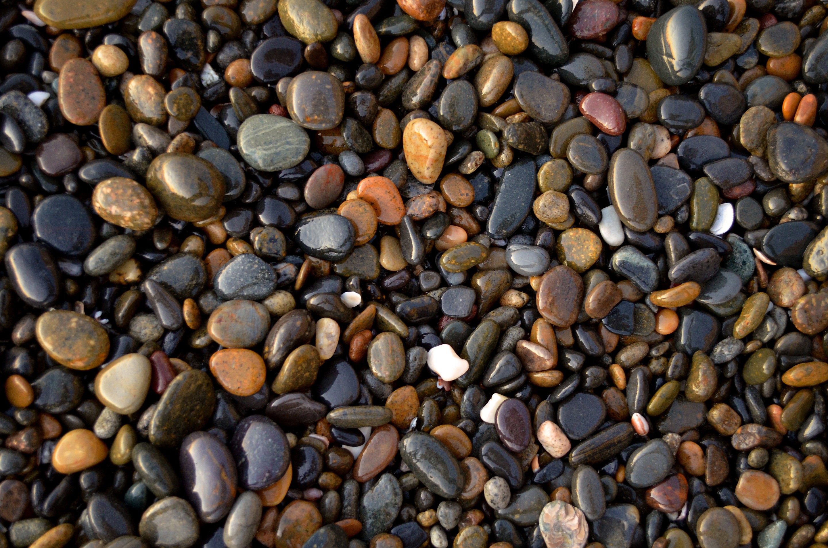 Обои камни, галька, текстура, много, камешки, stones, pebbles, texture, a lot разрешение 2880x1908 Загрузить