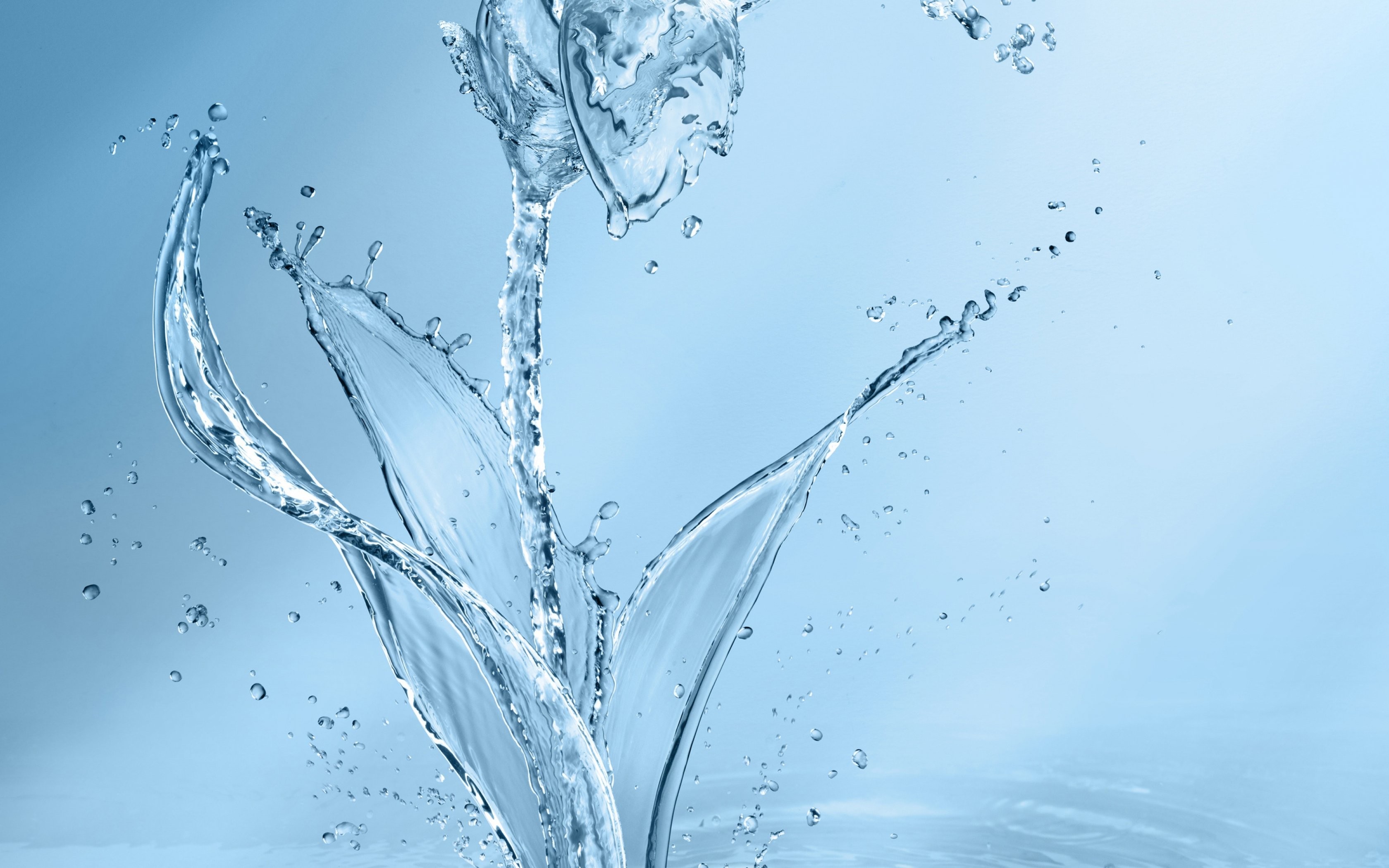 Обои вода, цветок, капли, брызги, голубой фон, капли воды, water, flower, drops, squirt, blue background, water drops разрешение 3360x2100 Загрузить