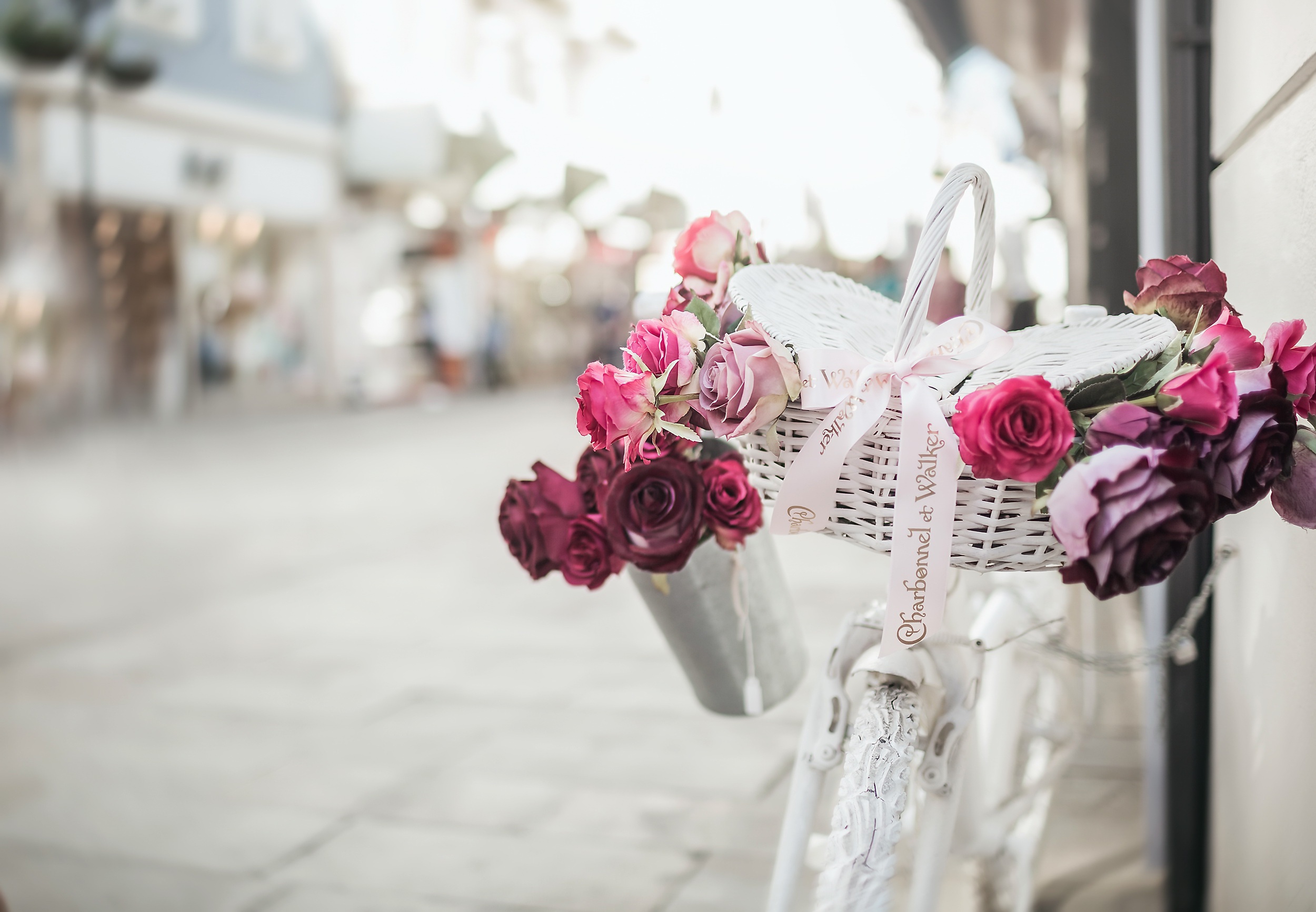 Обои цветы, розы, улица, велосипед, корзинка, flowers, roses, street, bike, basket разрешение 2500x1733 Загрузить