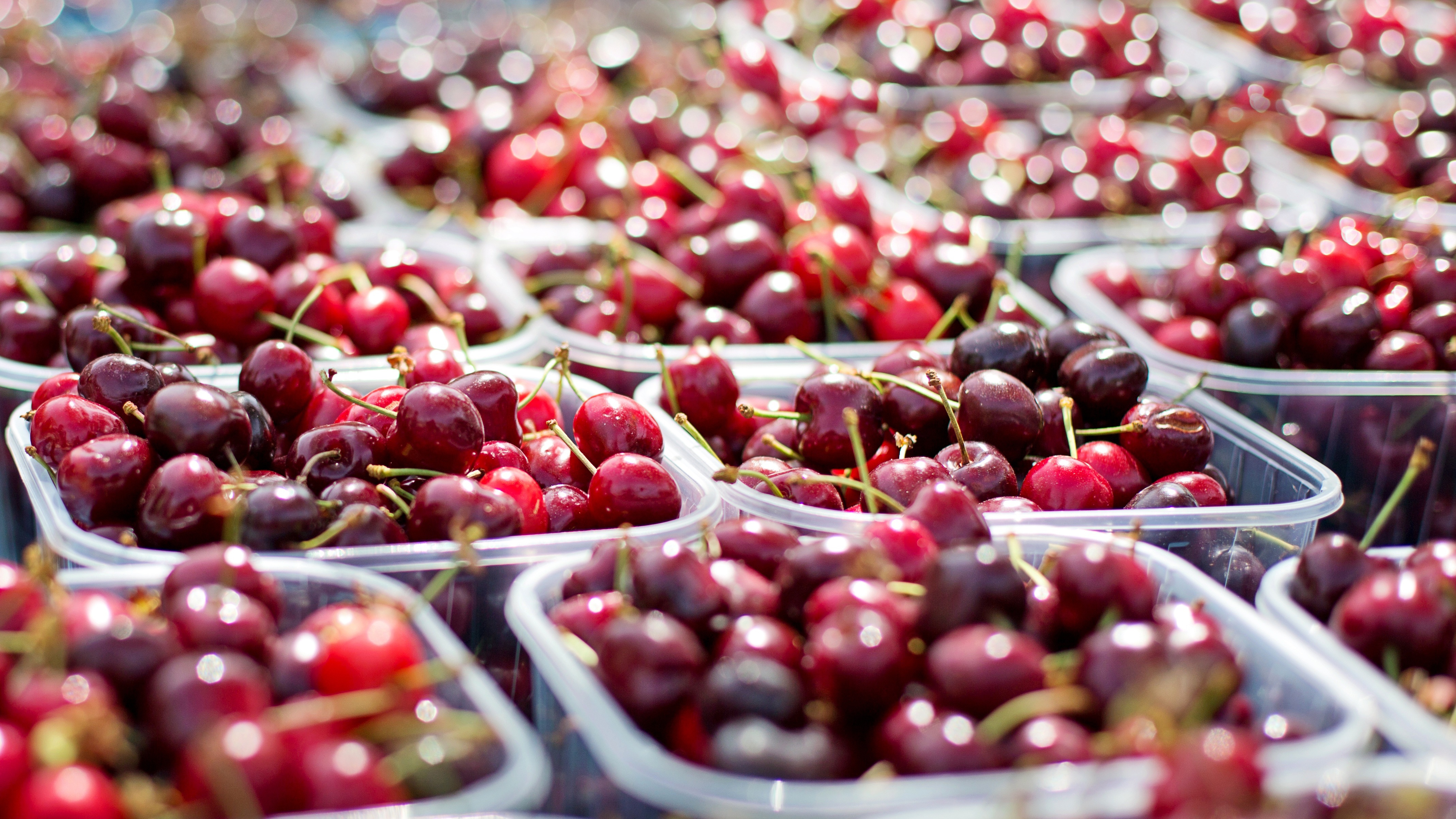 Обои черешня, ягоды, вишня, контейнеры, cherry, berries, containers разрешение 4273x2404 Загрузить