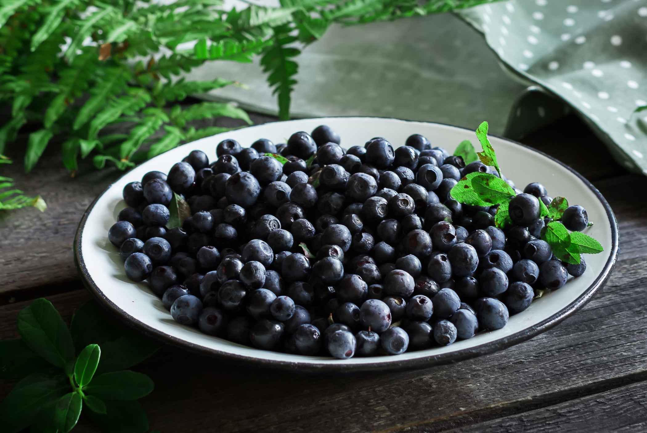 Обои ягоды, черника, папоротник, тарелка, berries, blueberries, fern, plate разрешение 2100x1407 Загрузить