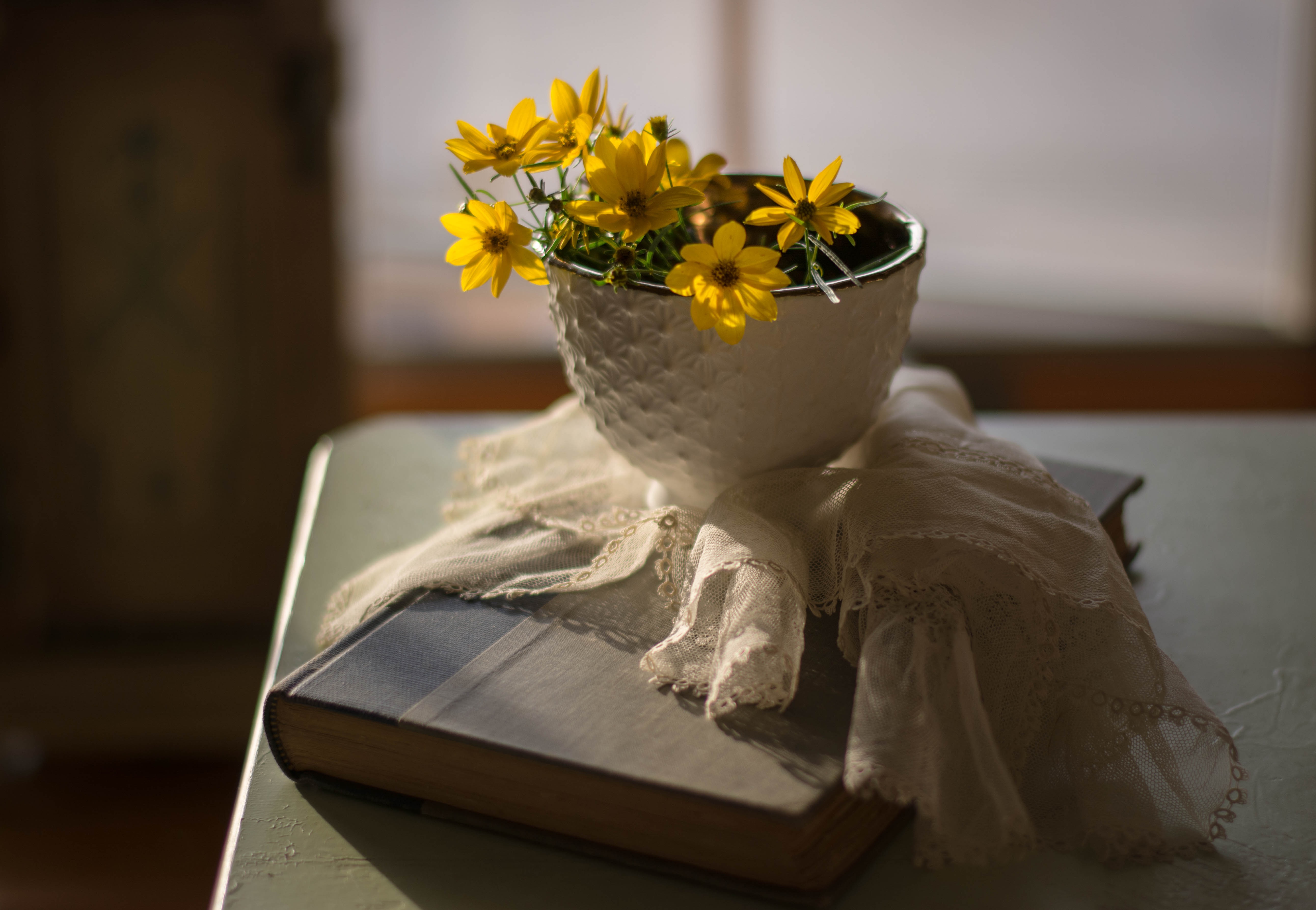 Обои цветы, фон, лепестки, салфетка, книга, flowers, background, petals, napkin, book разрешение 5167x3575 Загрузить