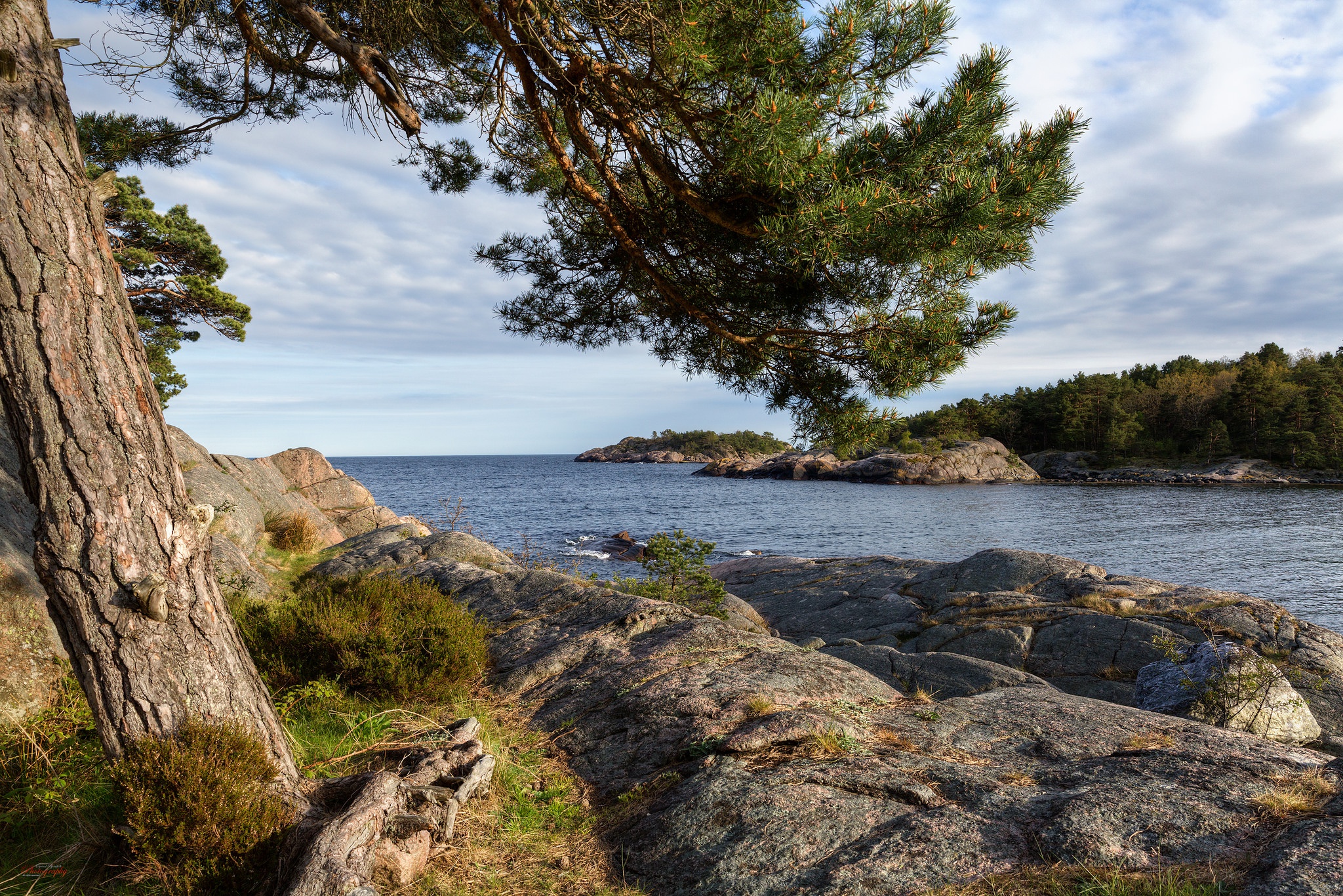 Обои небо, облака, дерево, камни, берег, море, the sky, clouds, tree, stones, shore, sea разрешение 2048x1366 Загрузить