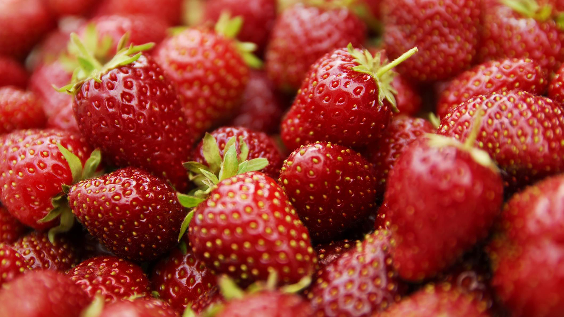 Обои макро, клубника, ягоды, macro, strawberry, berries разрешение 1920x1080 Загрузить