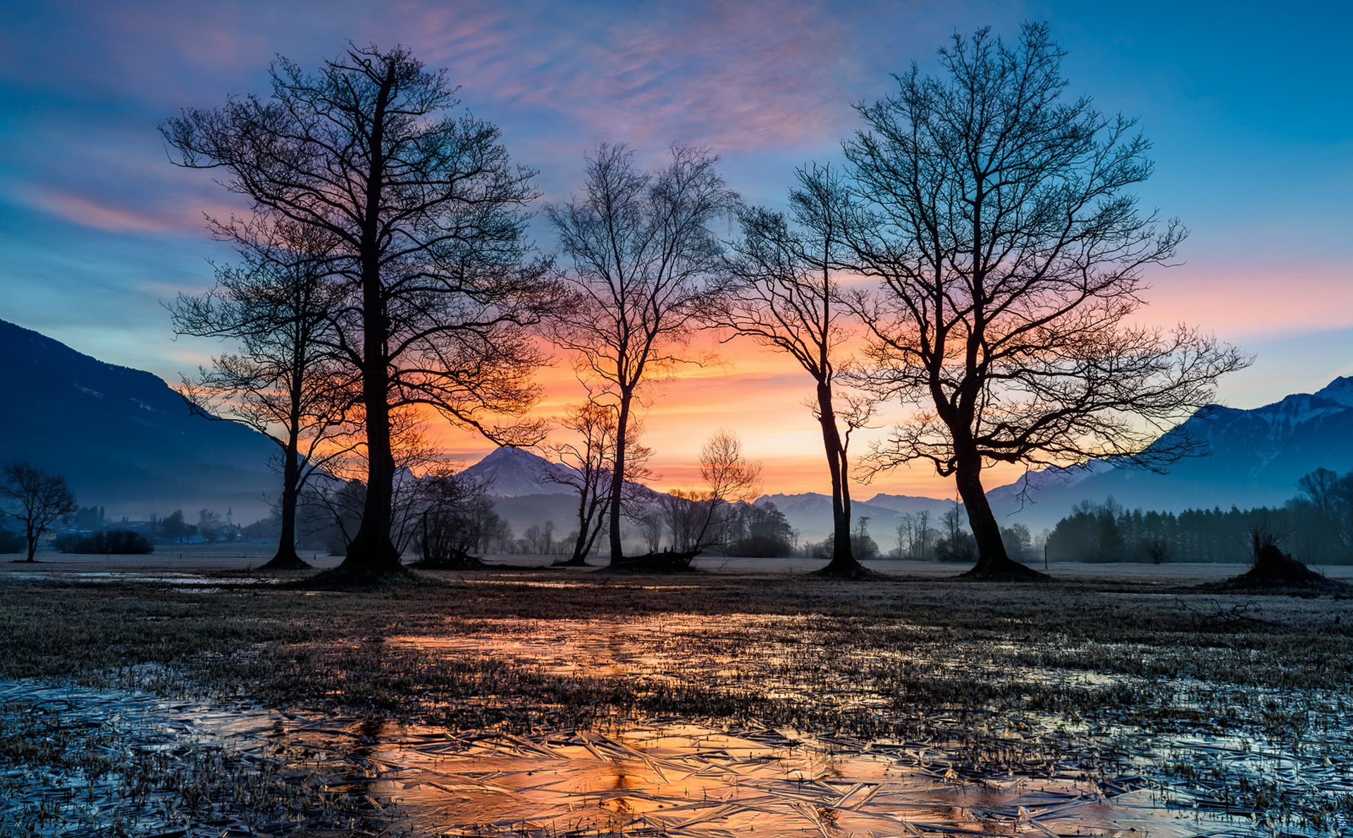 Обои деревья, зима, утро, лёд, холод, trees, winter, morning, ice, cold разрешение 1920x1190 Загрузить