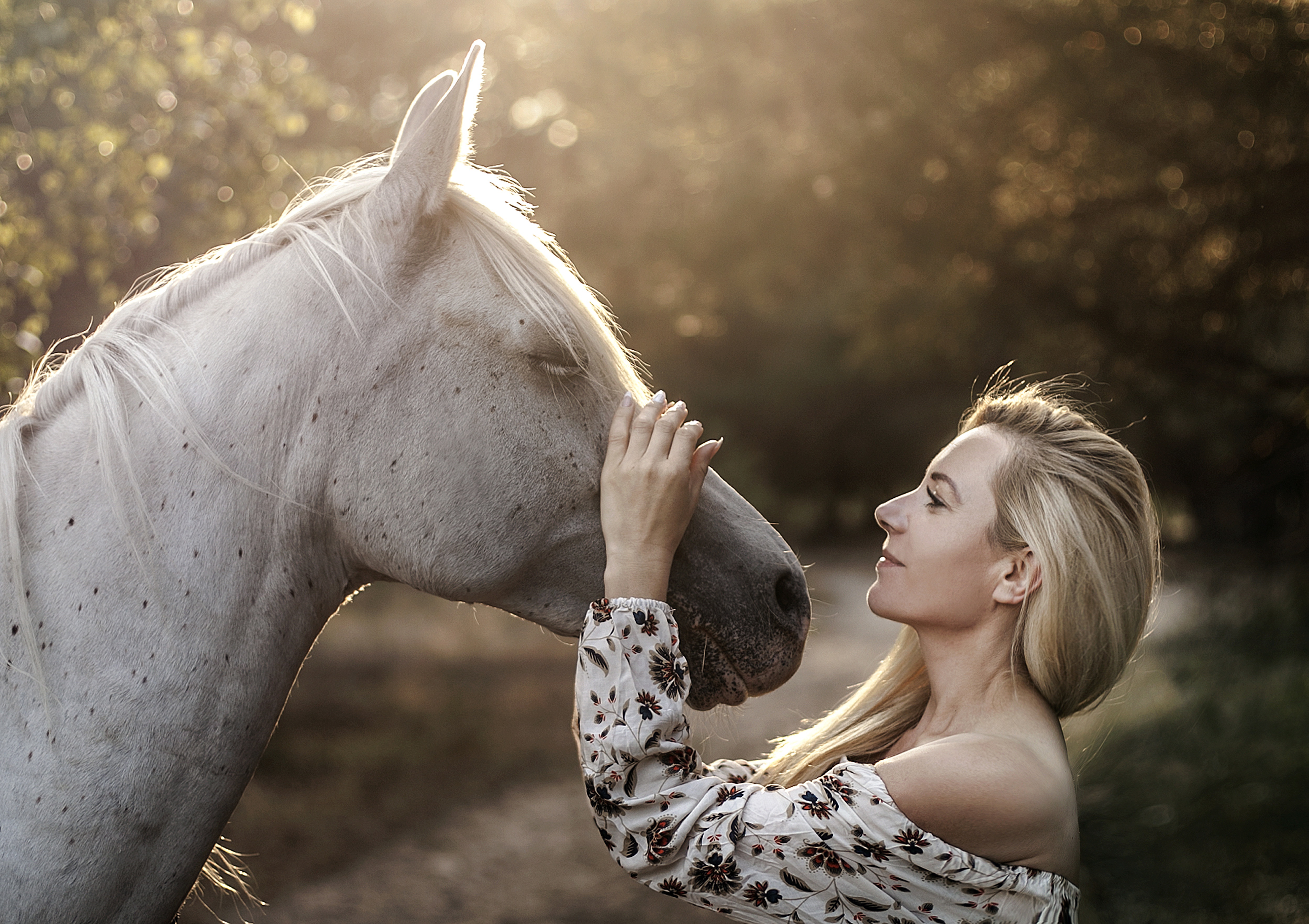 Обои лошадь, девушка, настроение, блондинка, профиль, конь, грива, horse, girl, mood, blonde, profile, mane разрешение 5000x3530 Загрузить