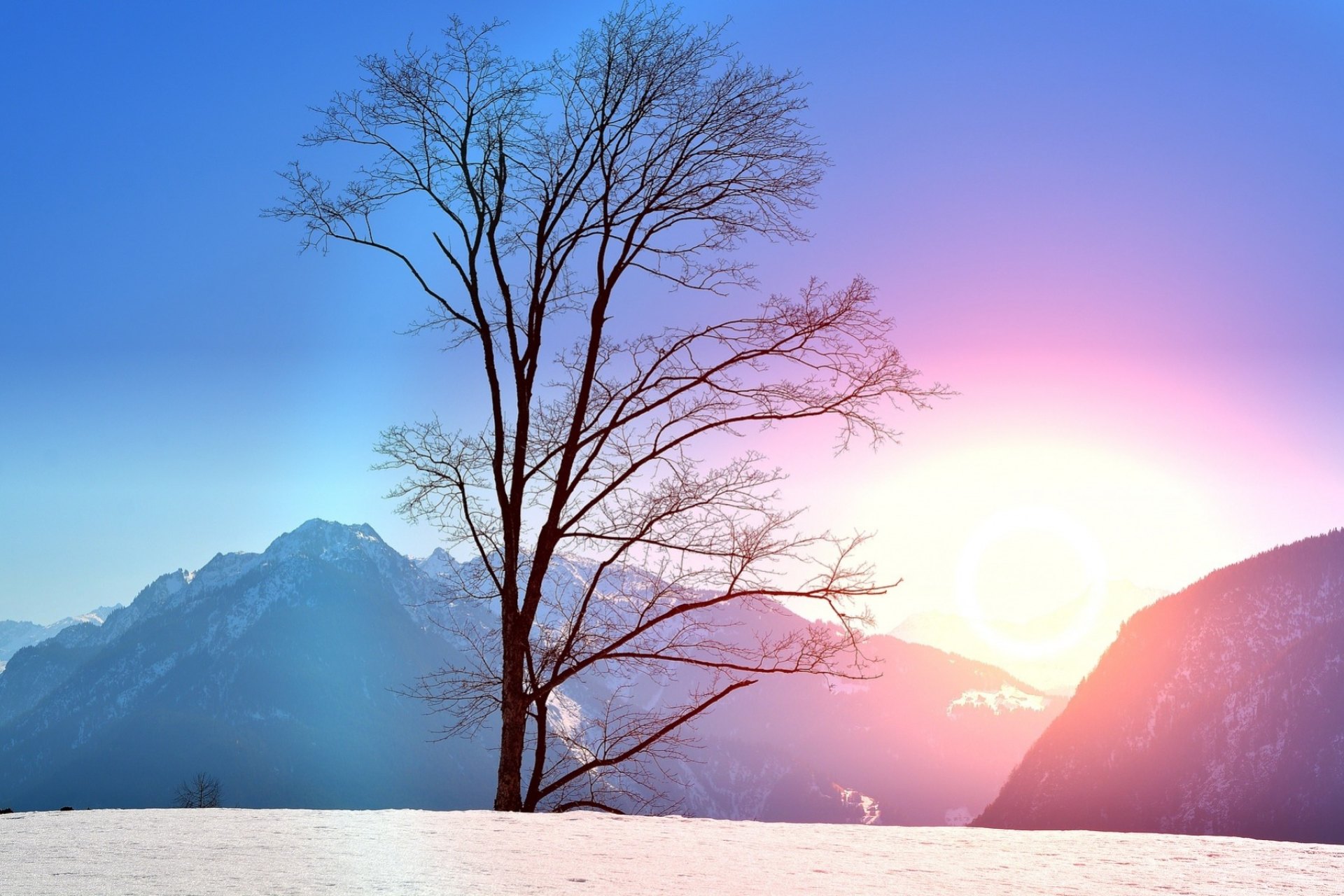 Обои деревья, горы, снег, природа, закат, зима, trees, mountains, snow, nature, sunset, winter разрешение 1920x1280 Загрузить