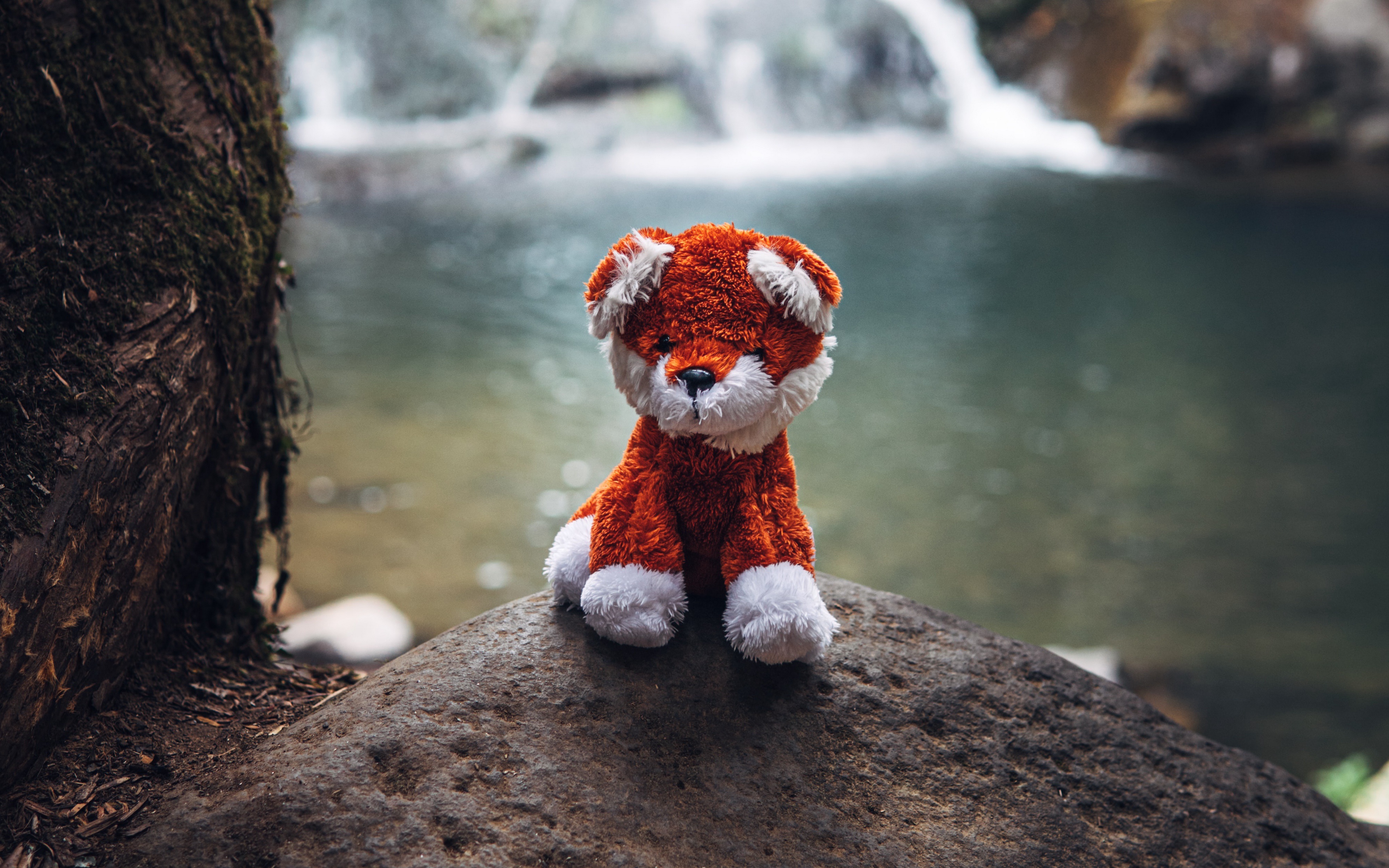 Обои водопад, игрушка, камень, мягкая игрушка, waterfall, toy, stone, soft toy разрешение 3840x2400 Загрузить